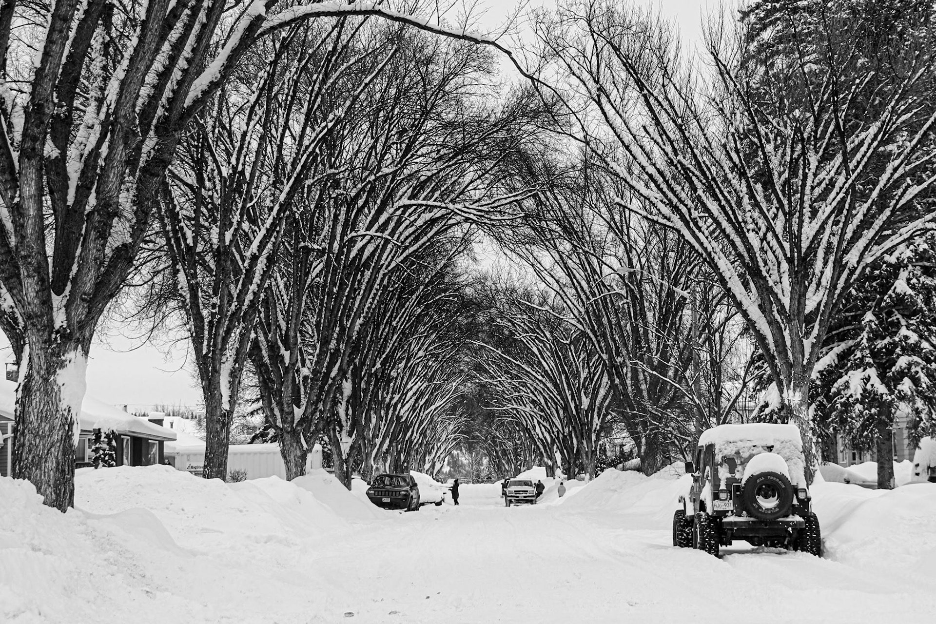 After the snowstorm!