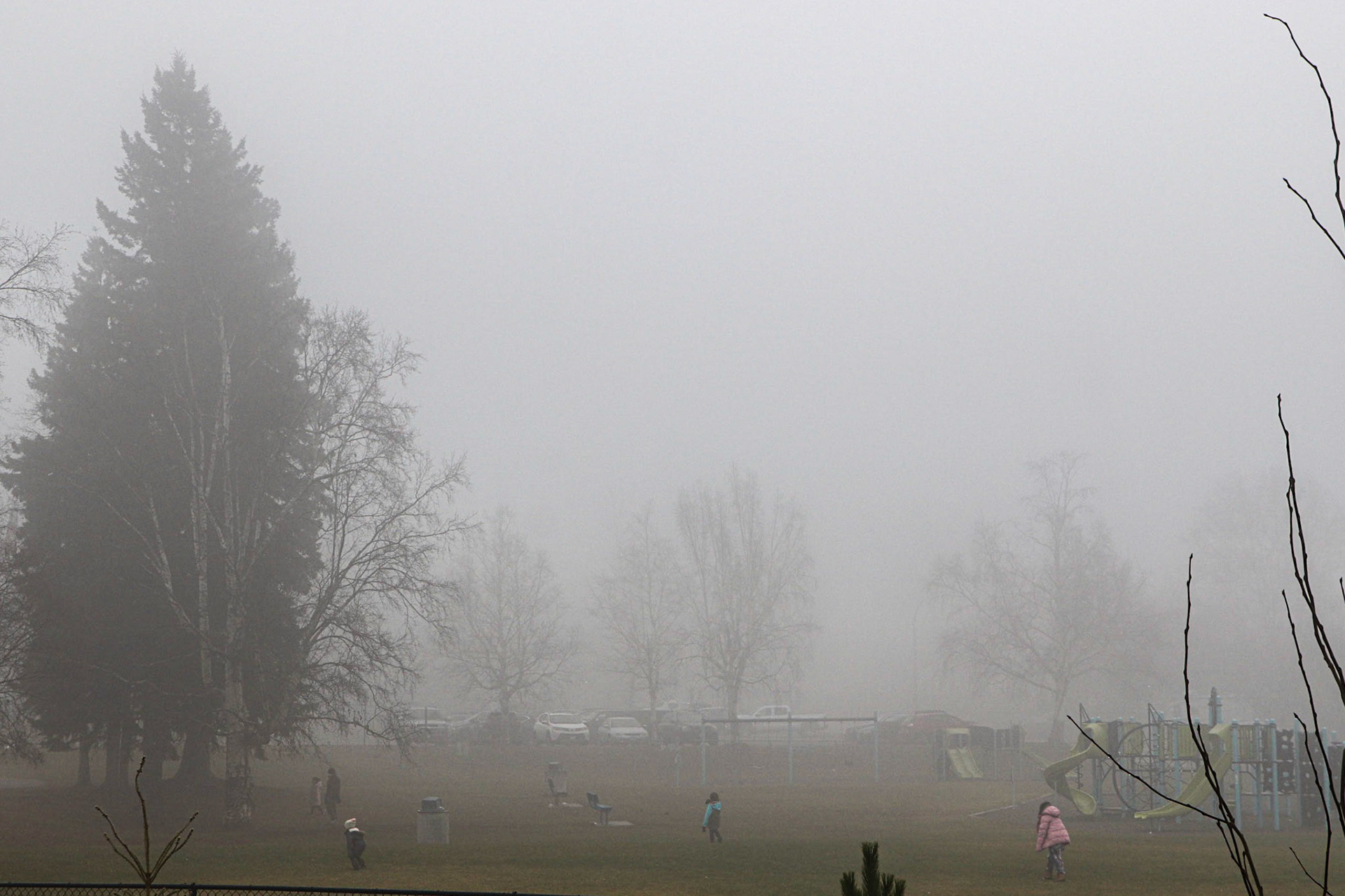 More fog in the schoolyard.