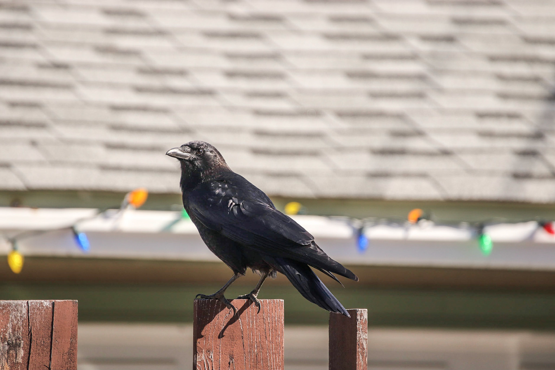 Nothing special here.