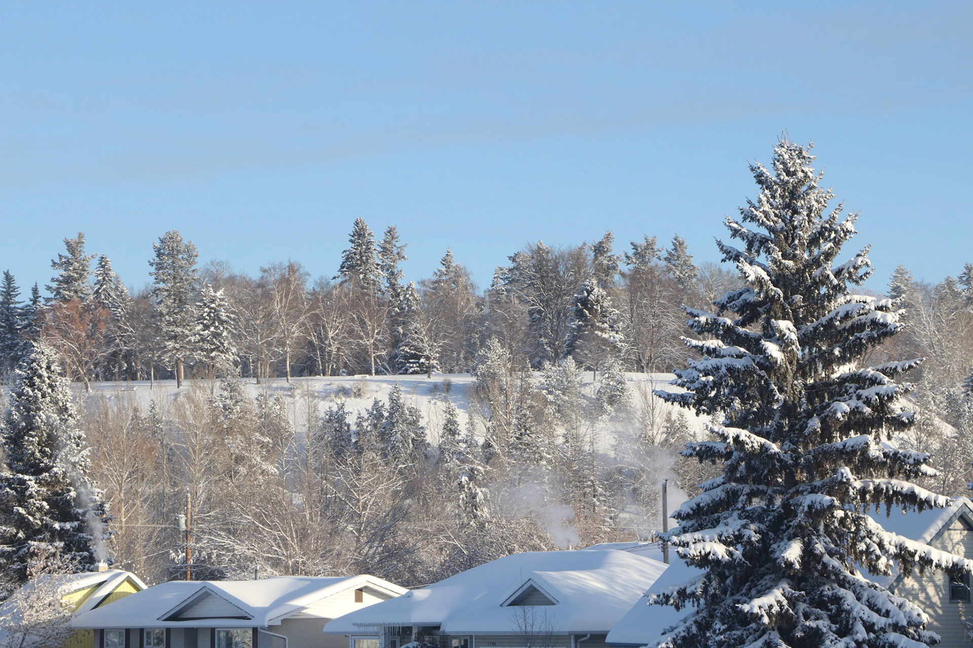 A cold Dec. 30/2021 10:04. AM