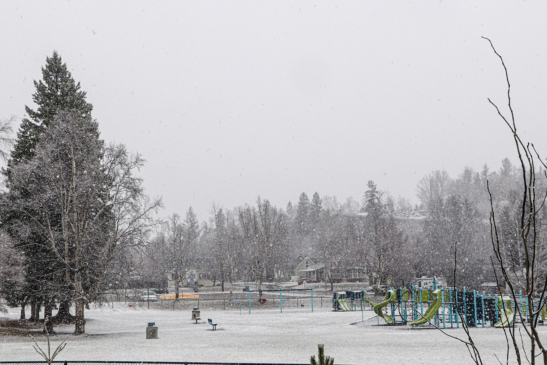 Getting Some New Snow!