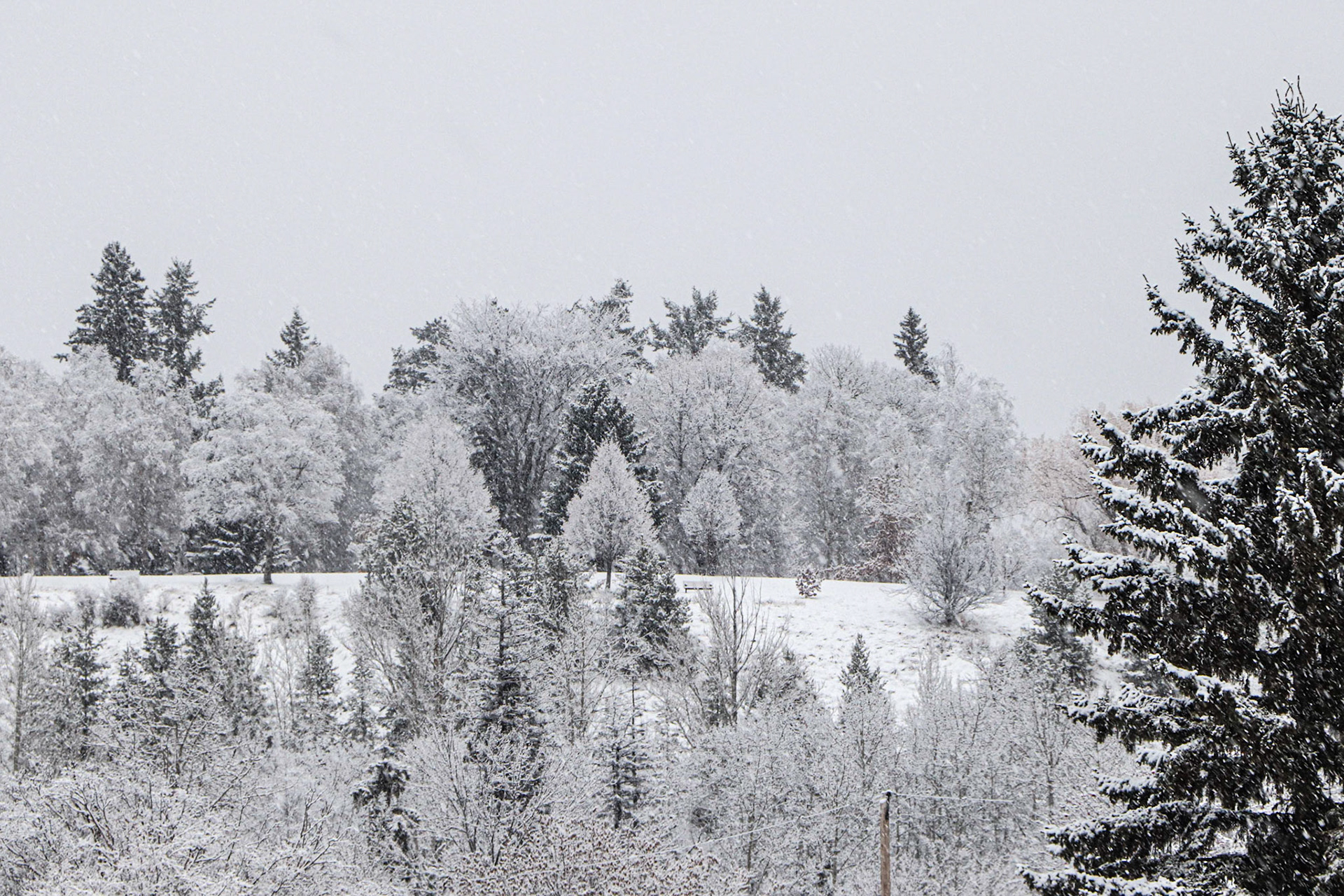 It snowed during the night!