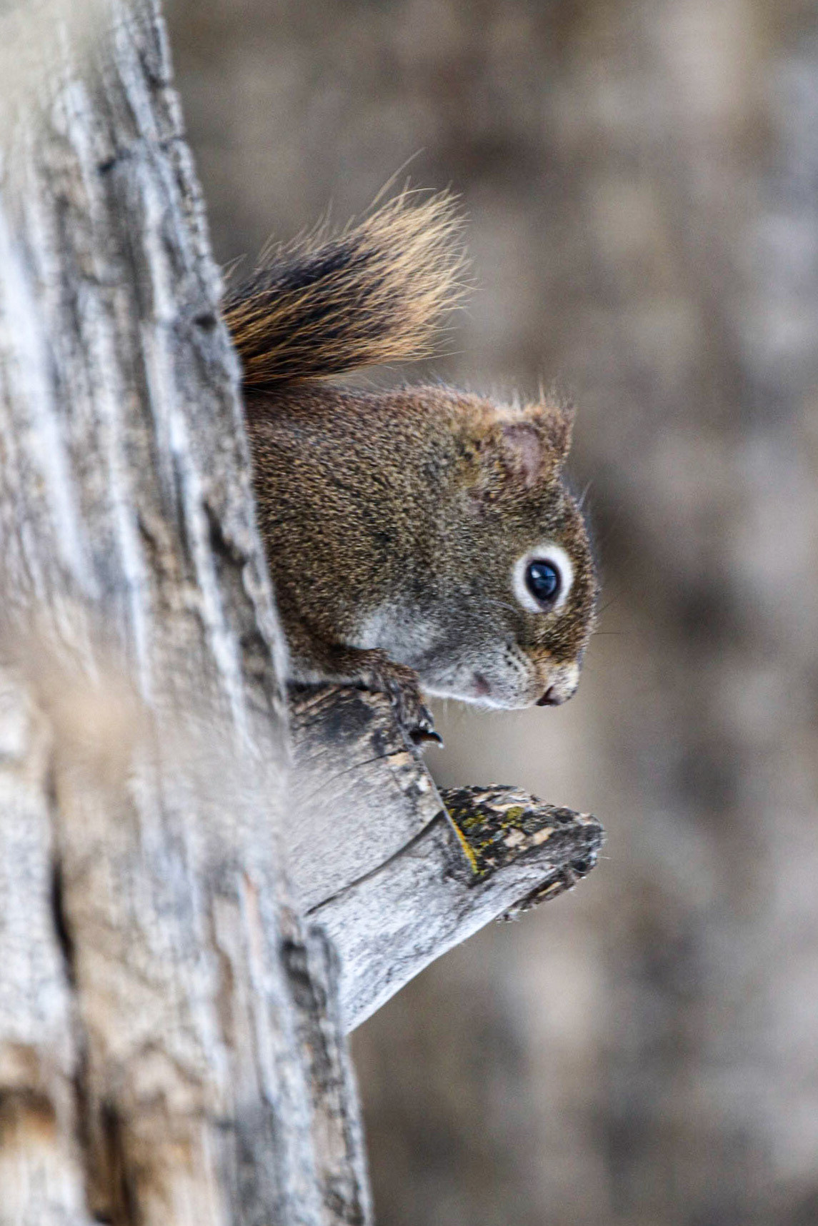 I have tp keep an eye on you.
