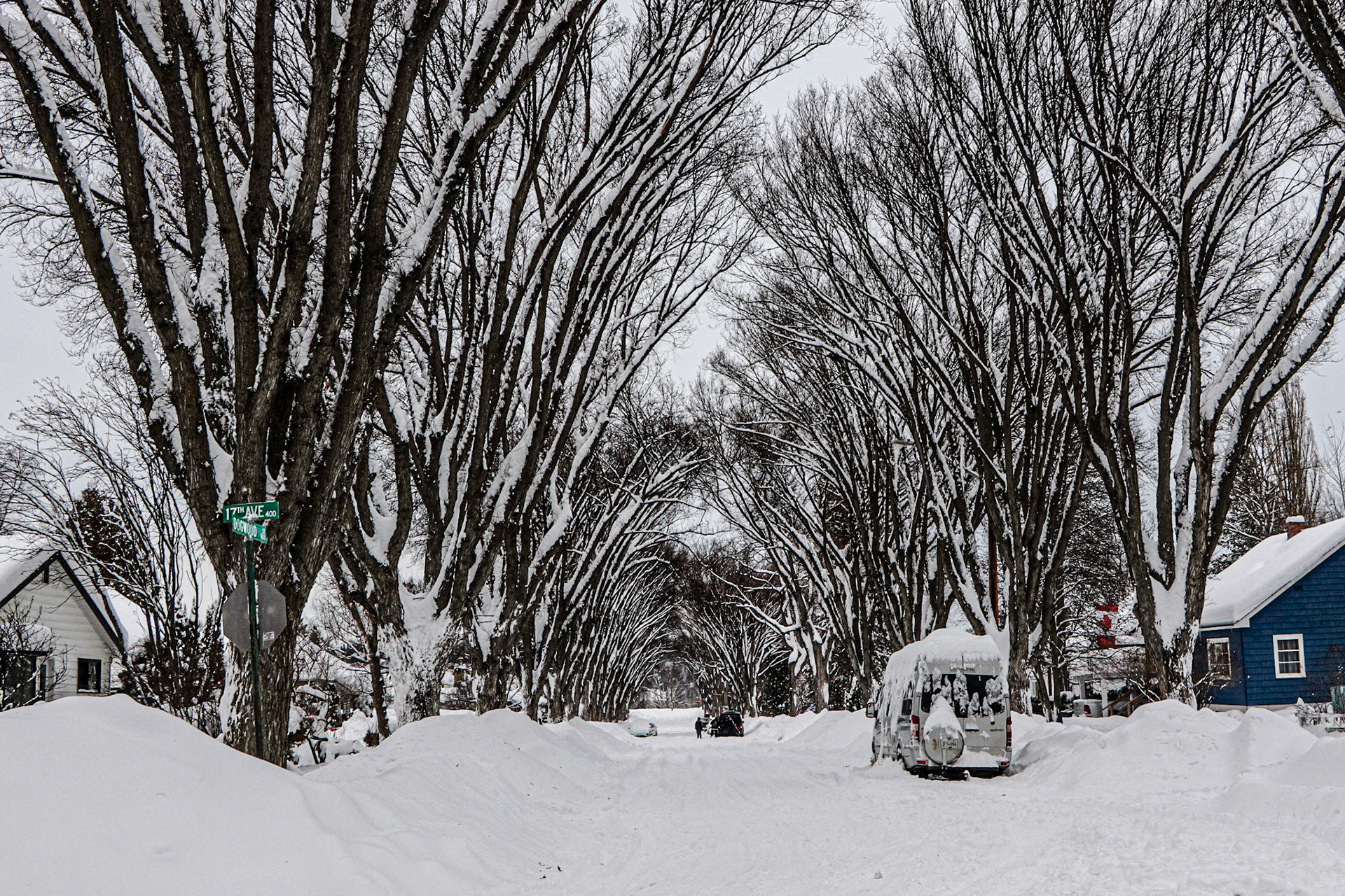 17th and Dogwood needing the snowplow.
