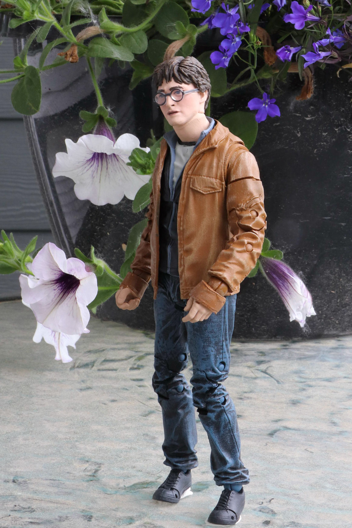 Harry's out for a walk.