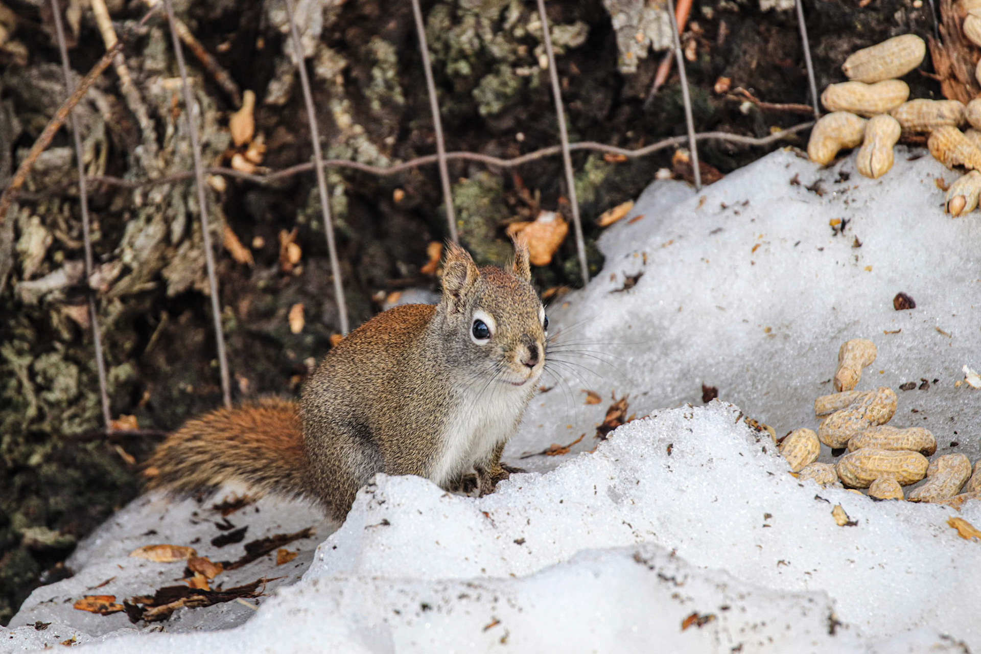 Are you sure it's OK!