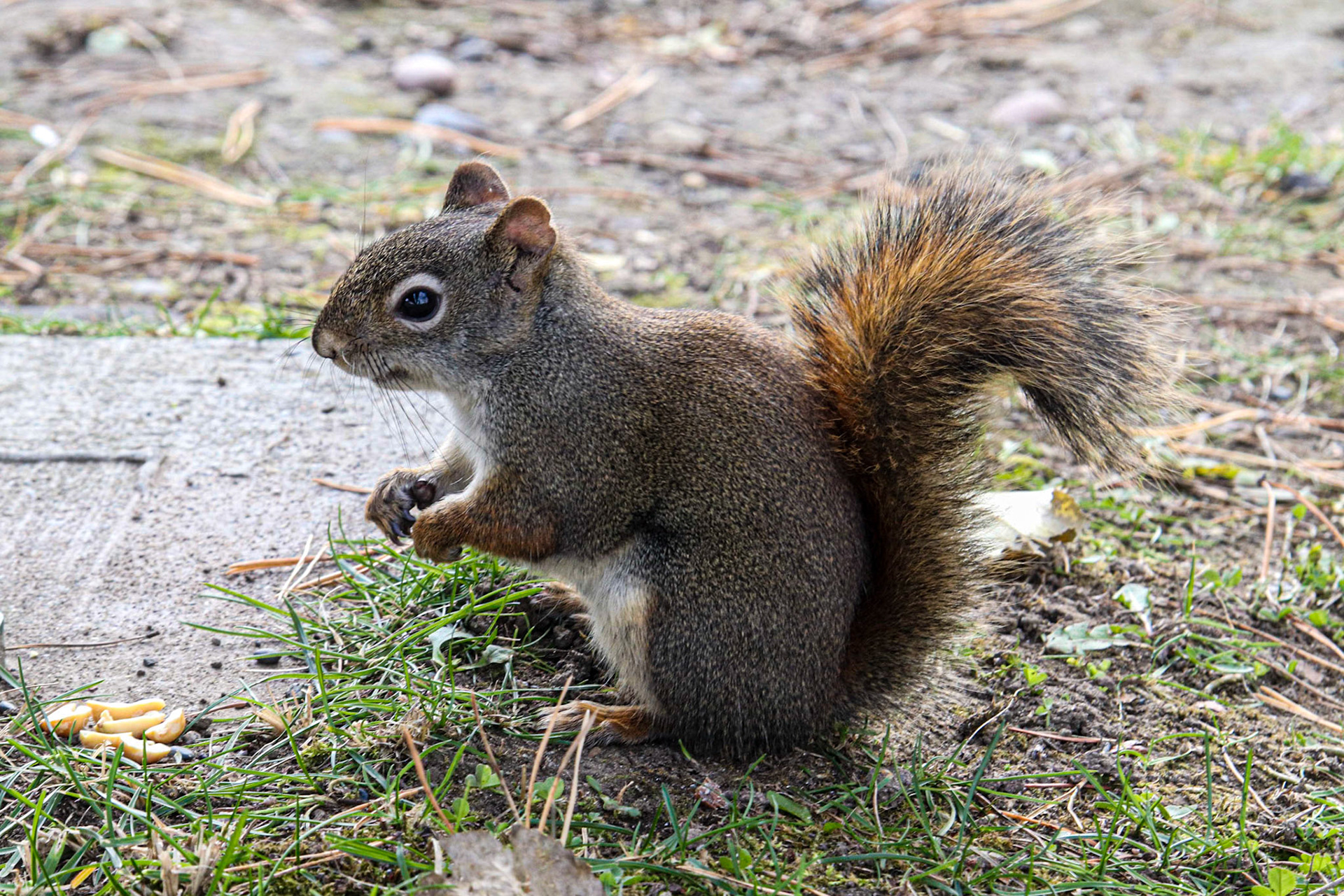 I hear someone coming!