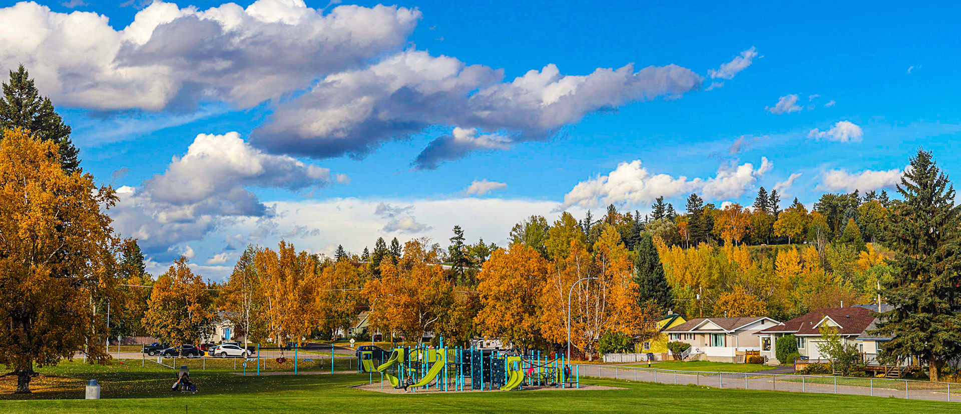 Fall on Connaught Hill.