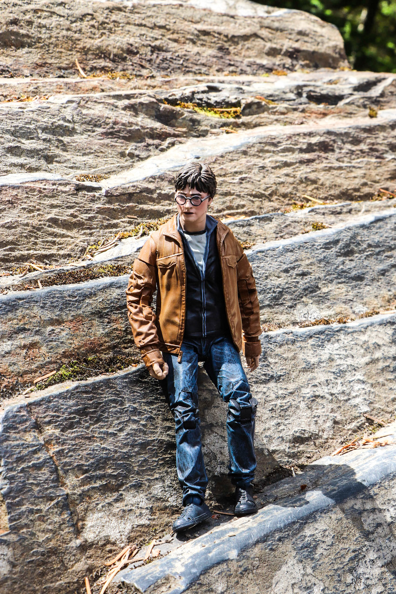 Harry resting on the rock.