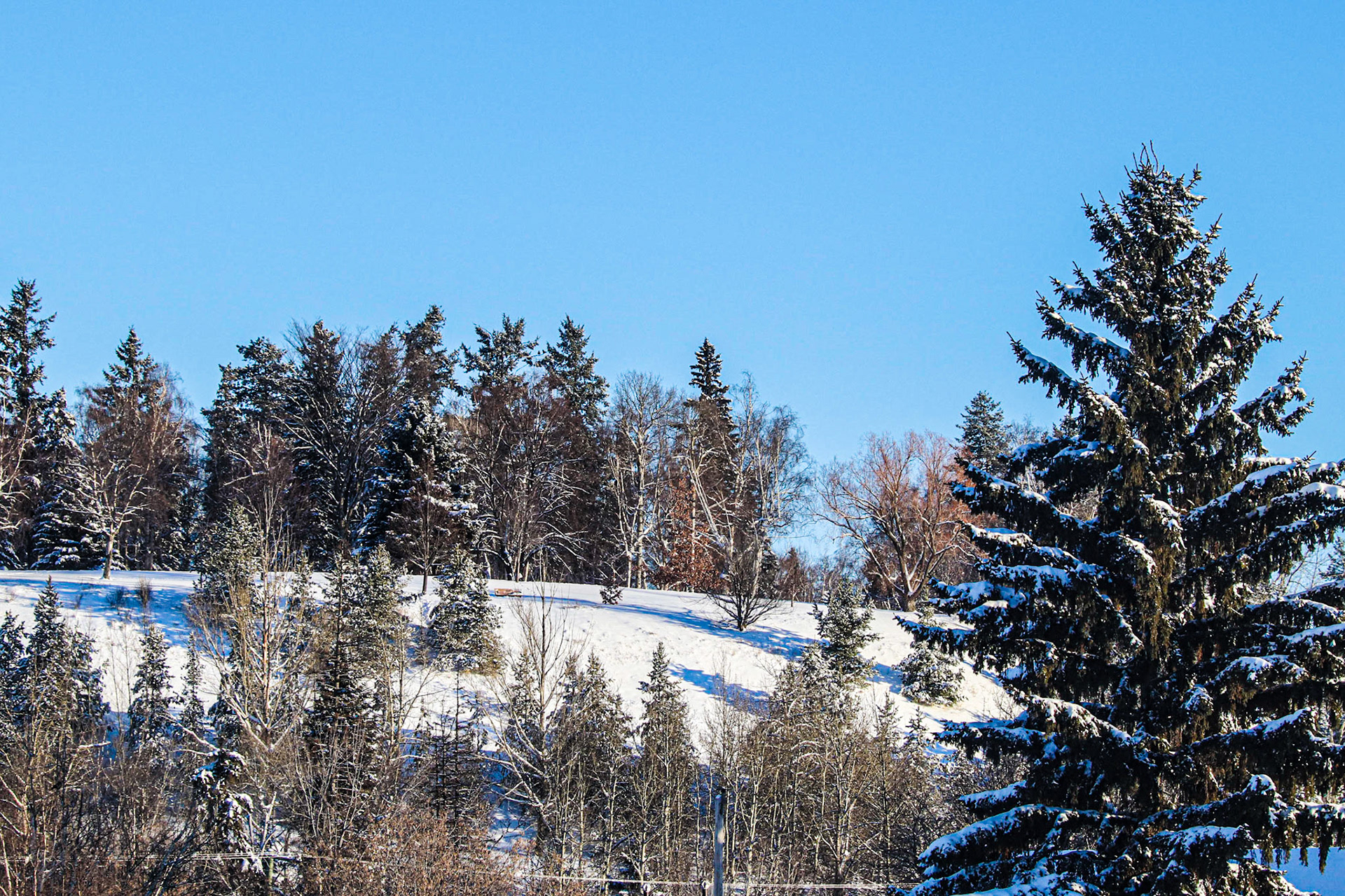 Connaught Hill Dec. 24 at 9:56 AM