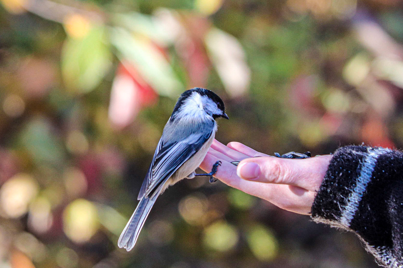 Don't worry I've got a good grip.