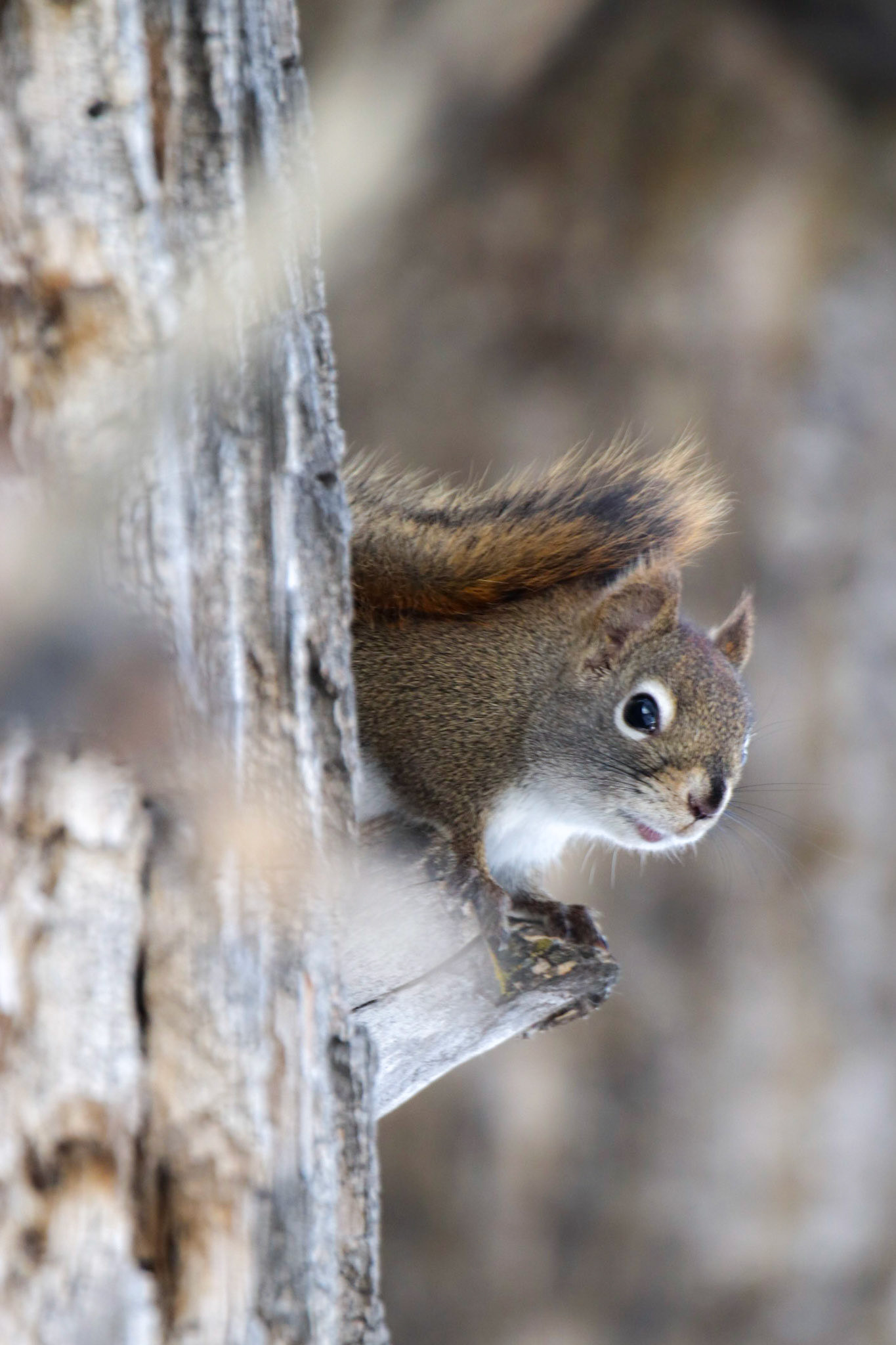 I'm still watching you!