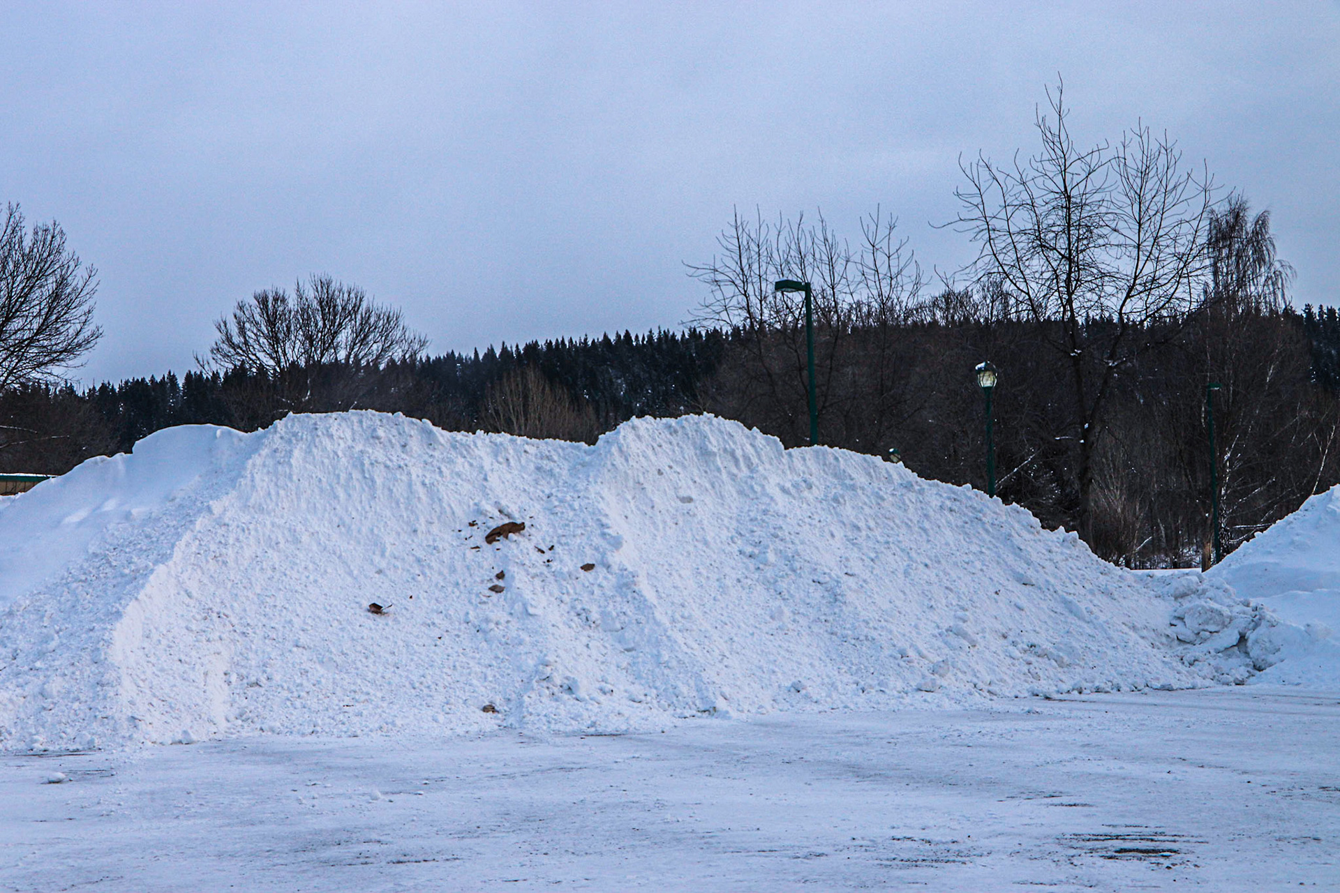 Results of the clean-up!