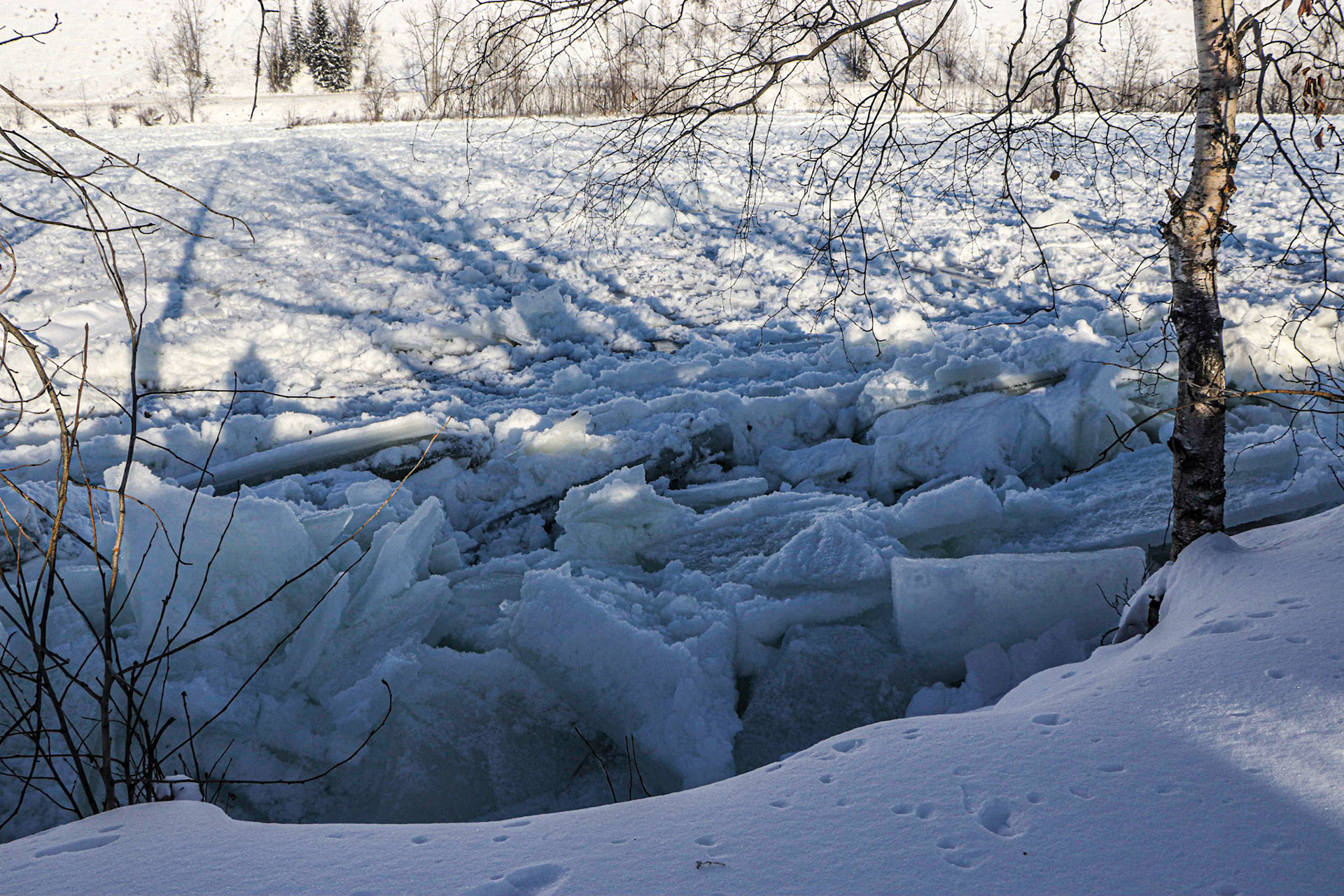 The breaking up of the ice.