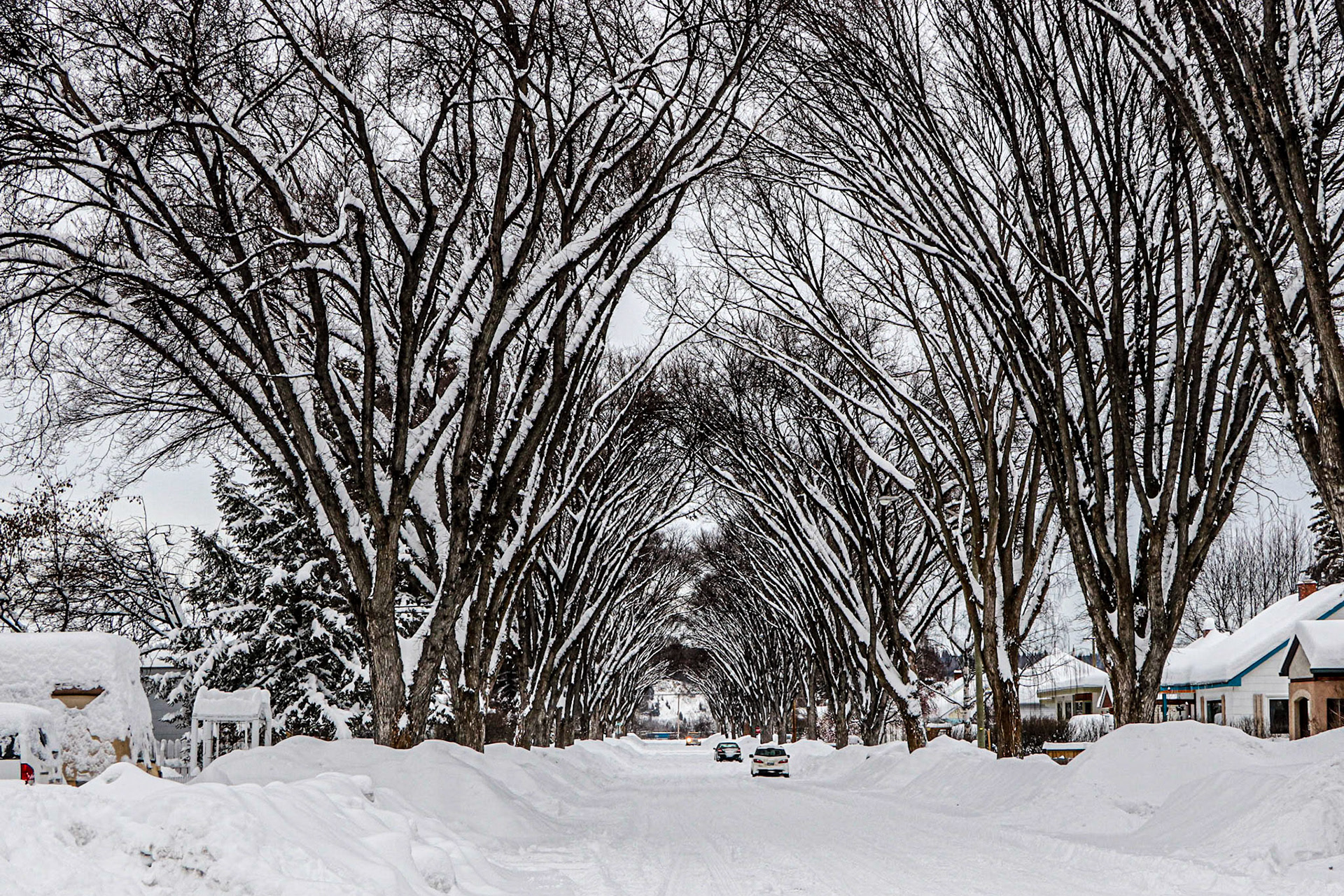 Coming down the snowy street.
