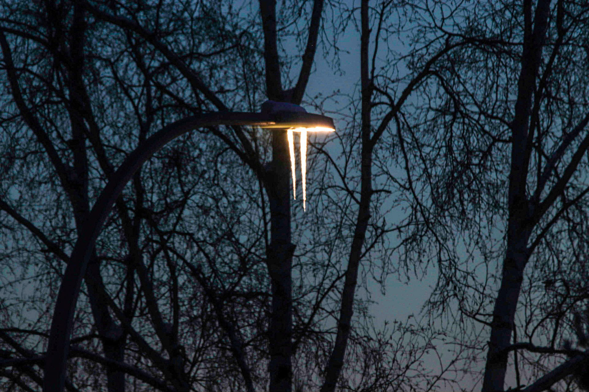 The Street Light at 7:50 Am Dec. 24th