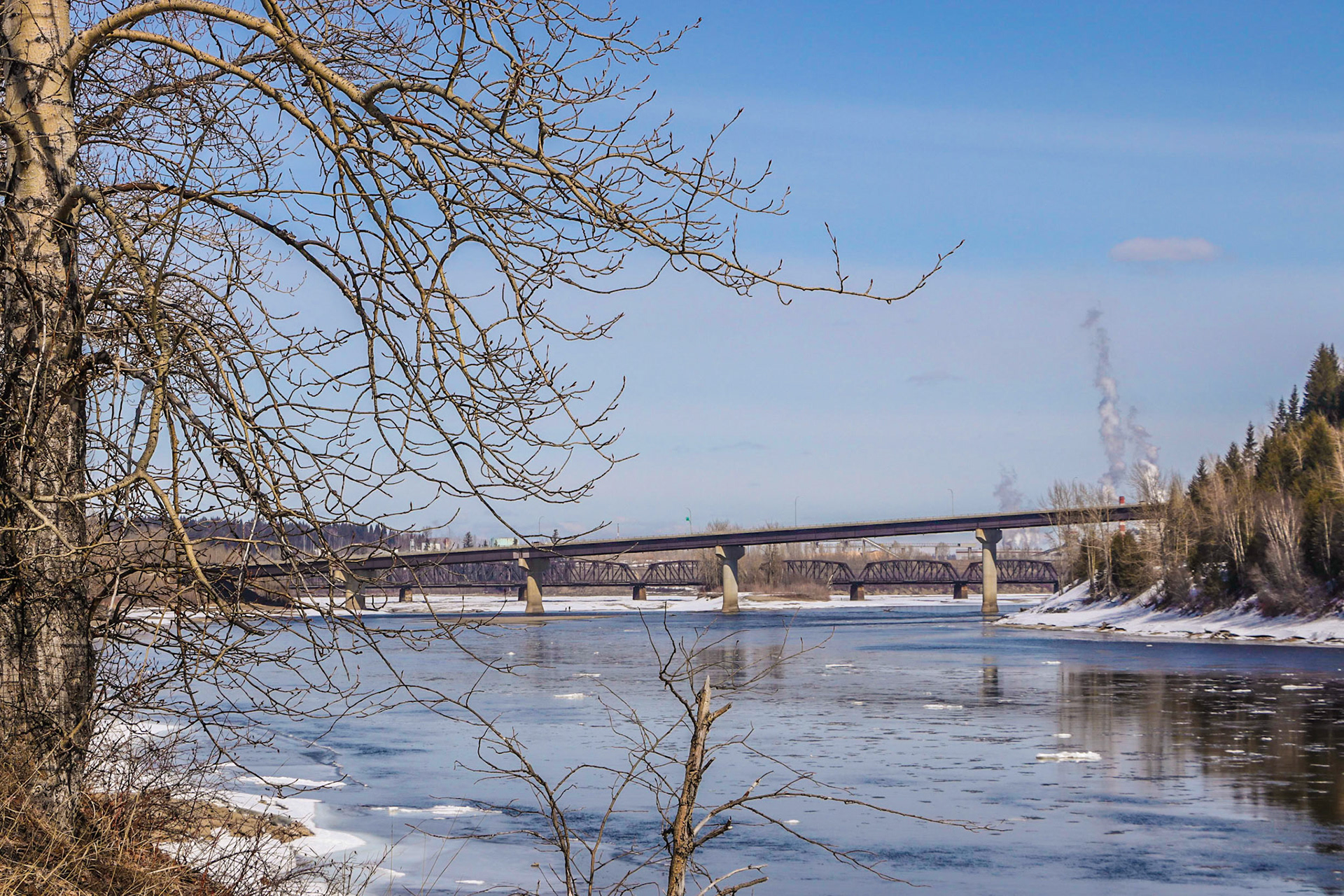 Yellowhead Bridge from the Park