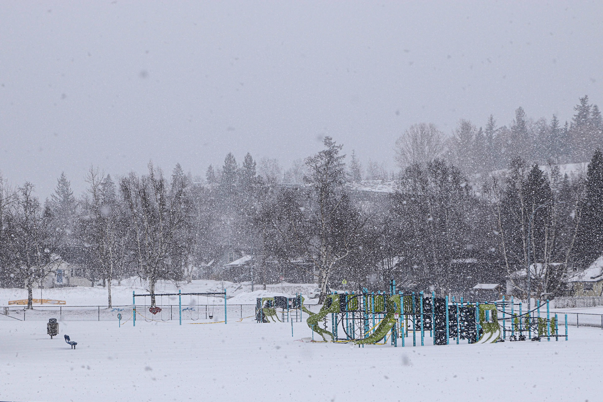 A late March snowfall.