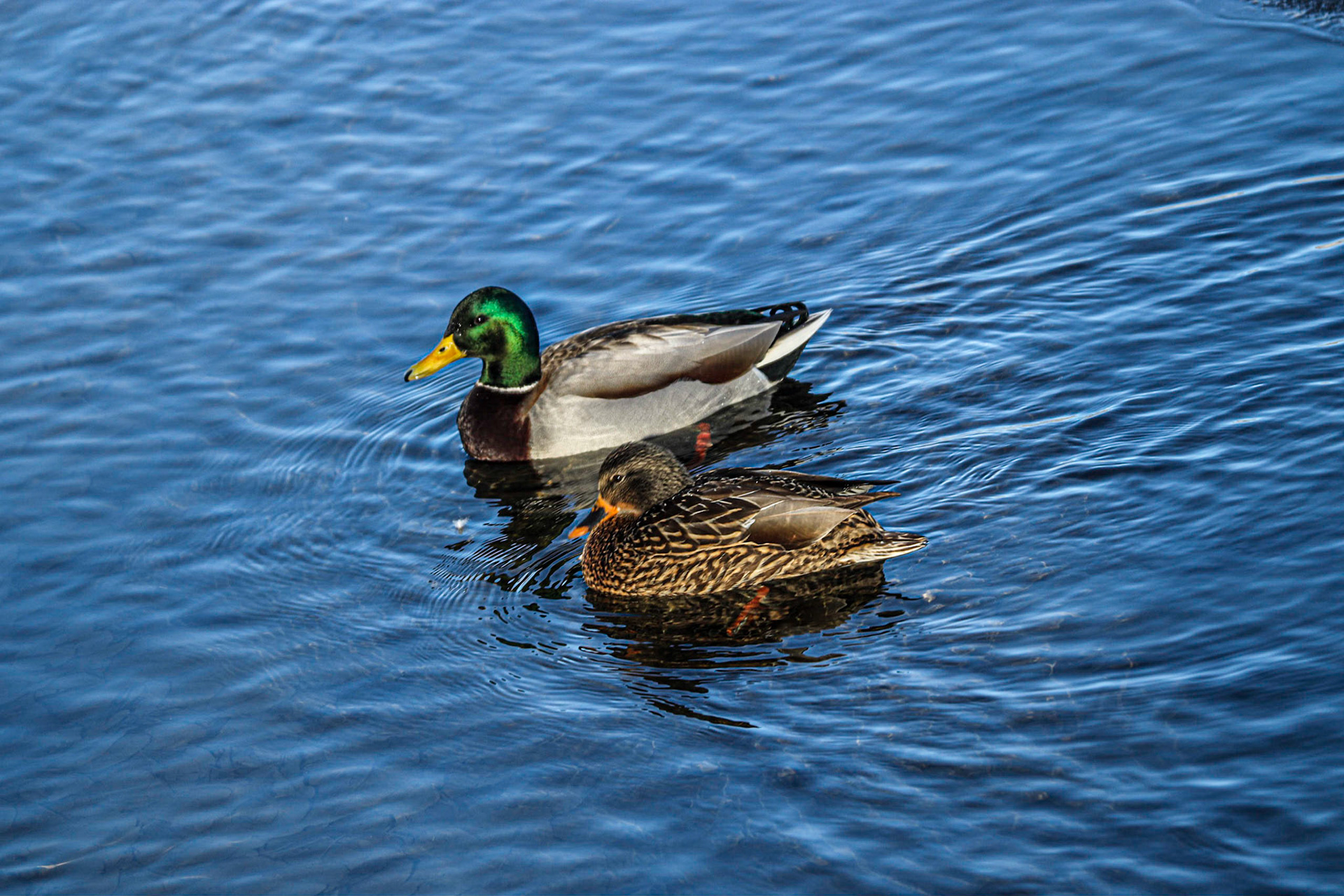 We Hangout Together.