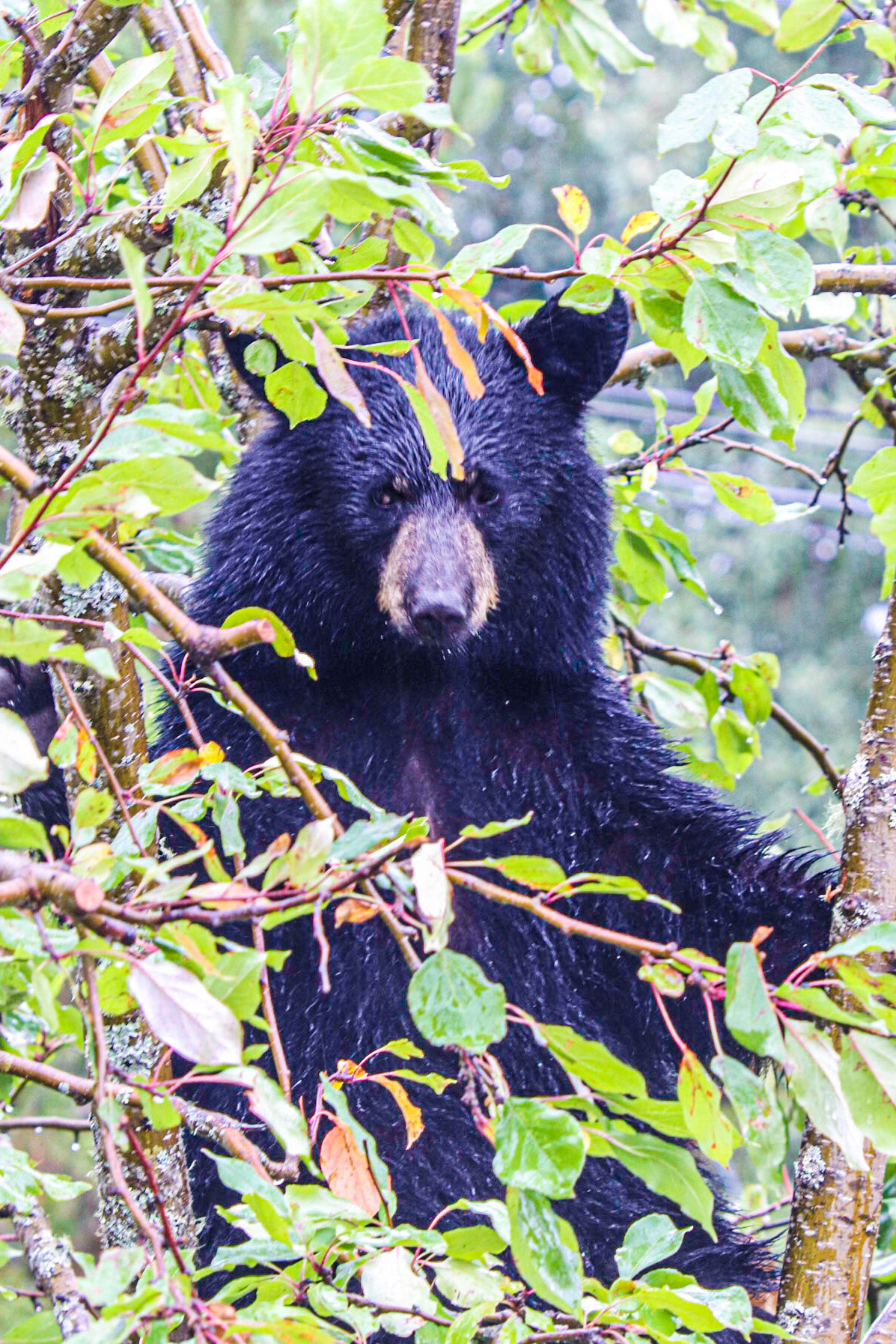 He just doesn't care about us.