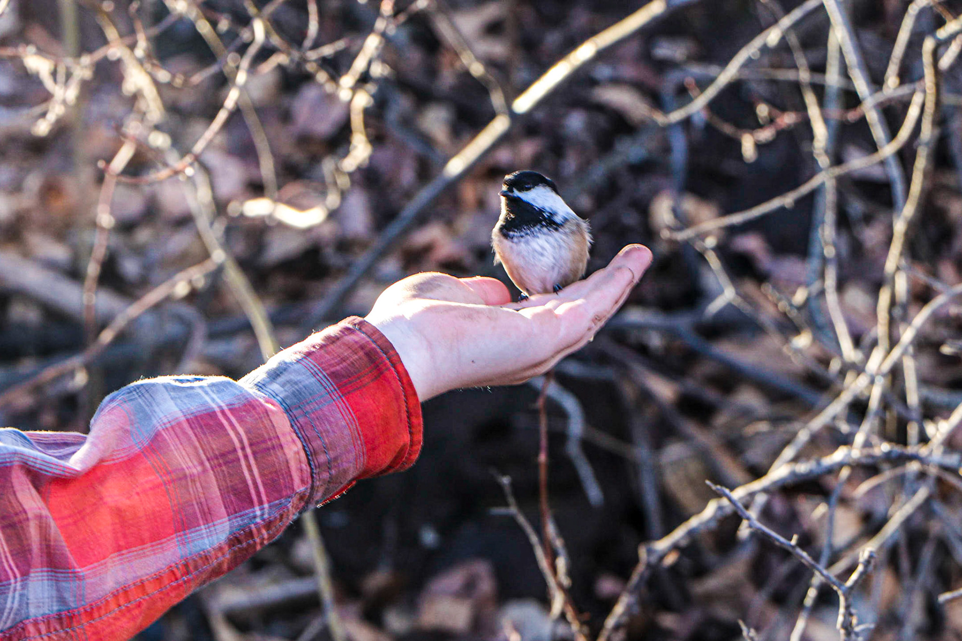 Well feed &amp; friendly.