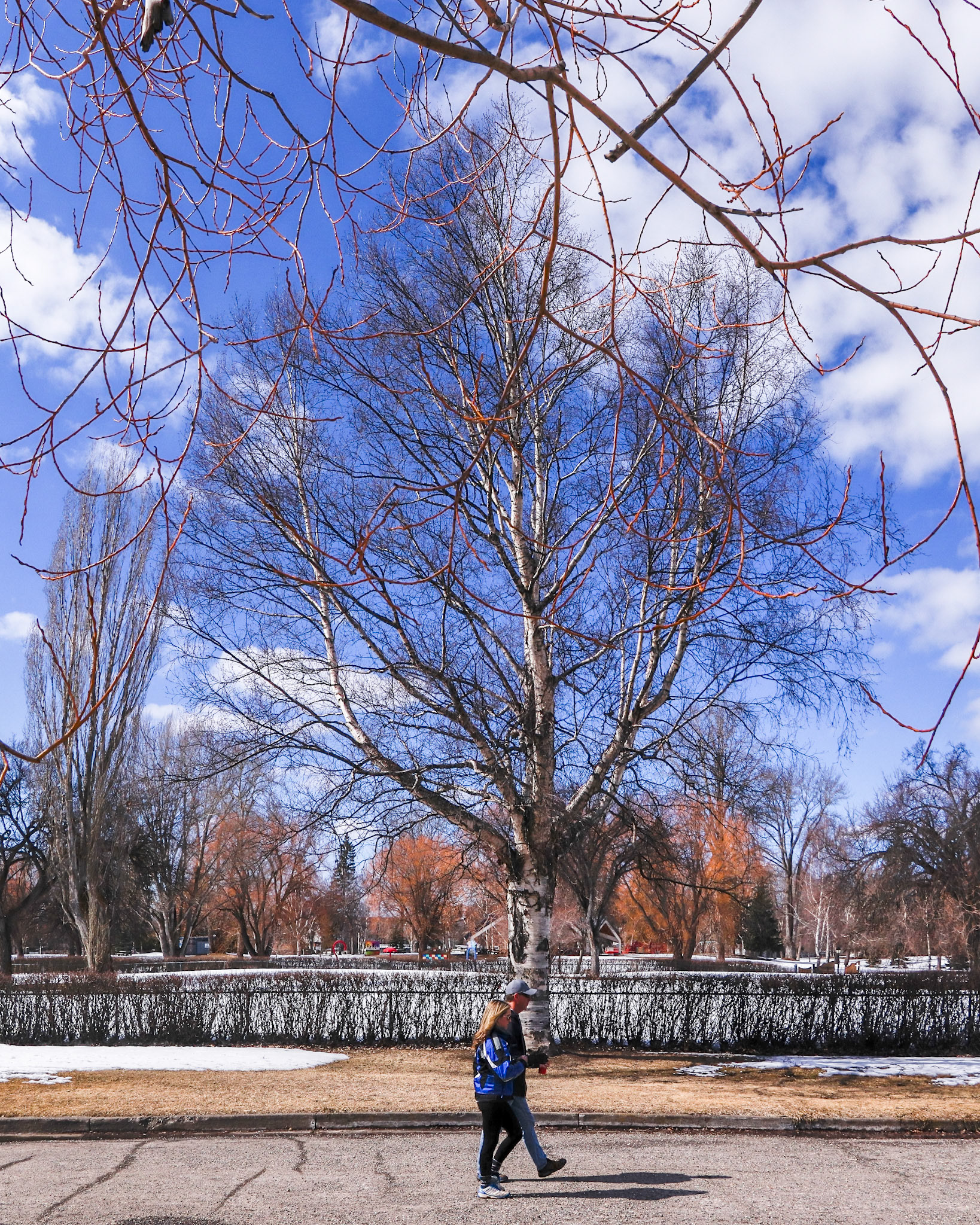 Walking in the park.