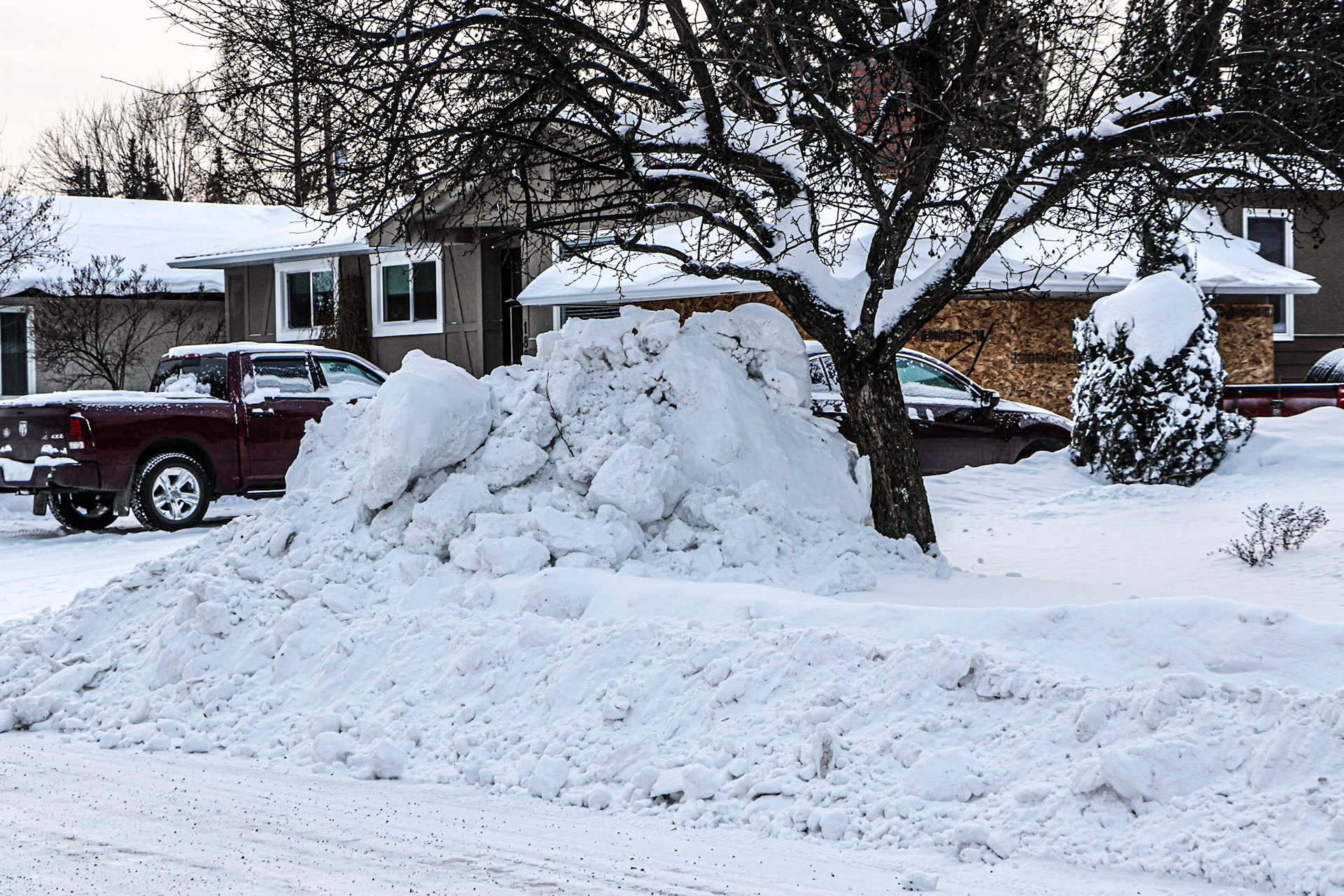 The clean-up crew has veen here!