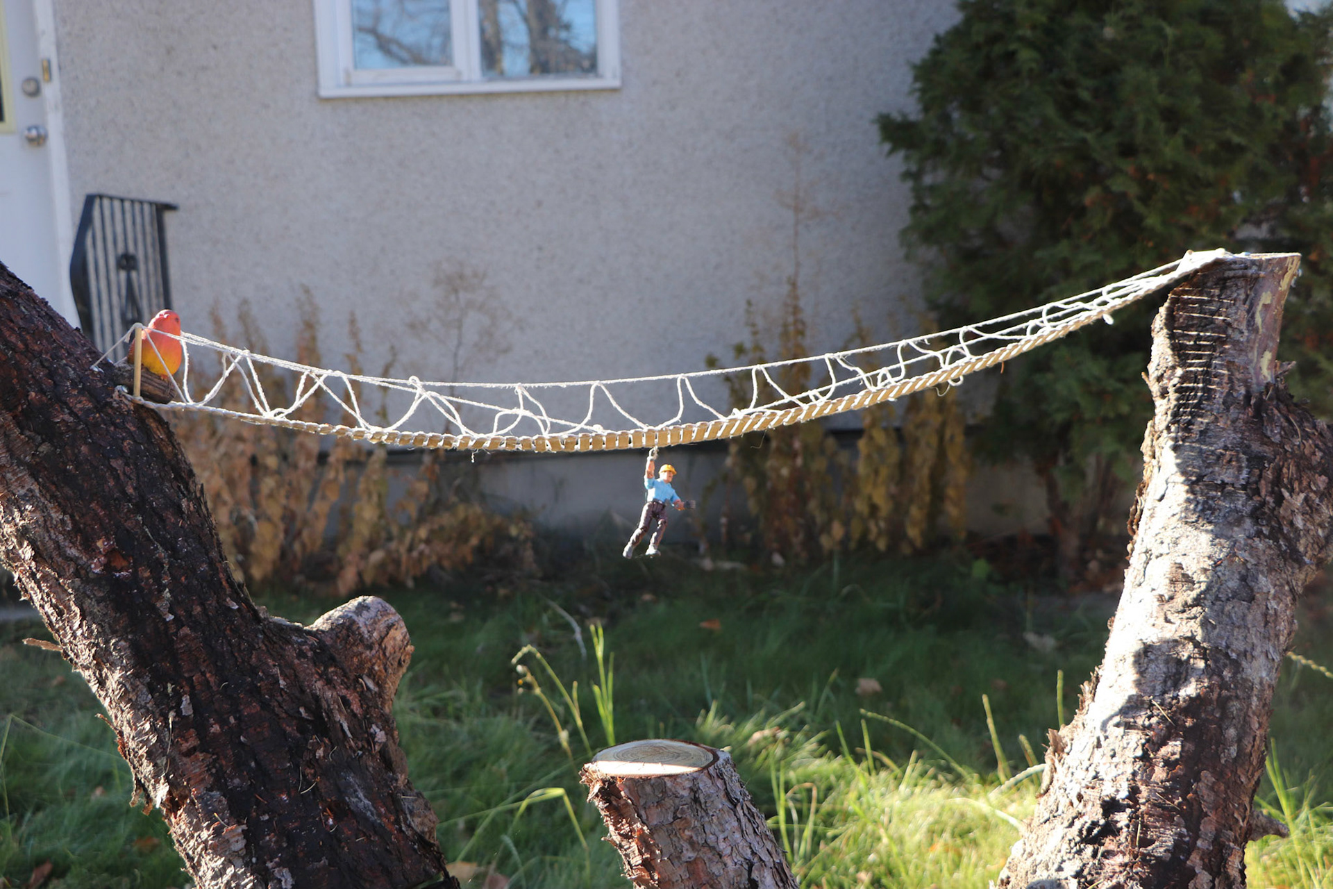 Wsorking outside of the BOX!