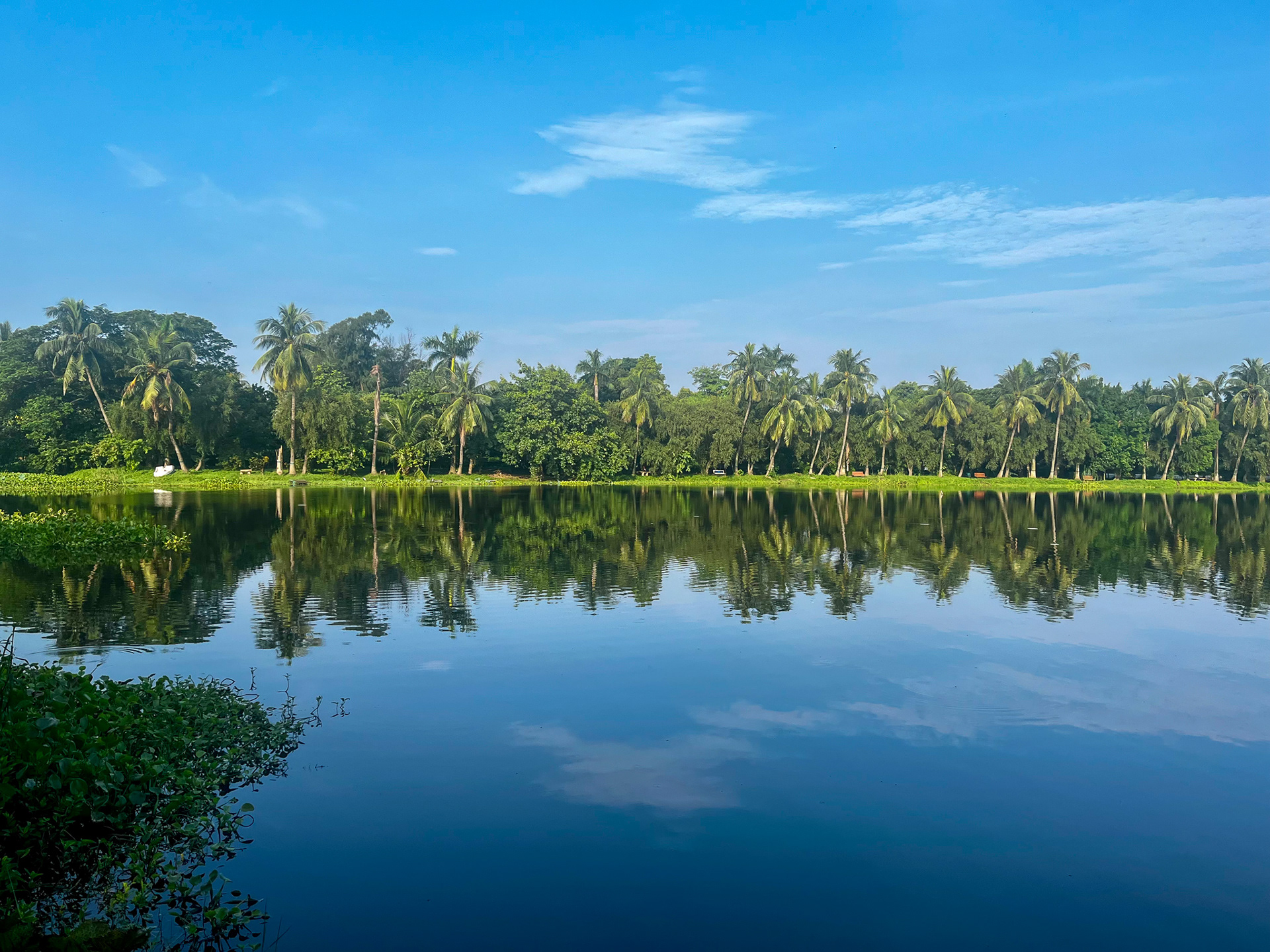 Serene and reflective quality of water and nature.