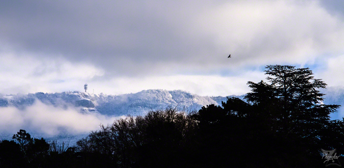 View of the Saleve in winter