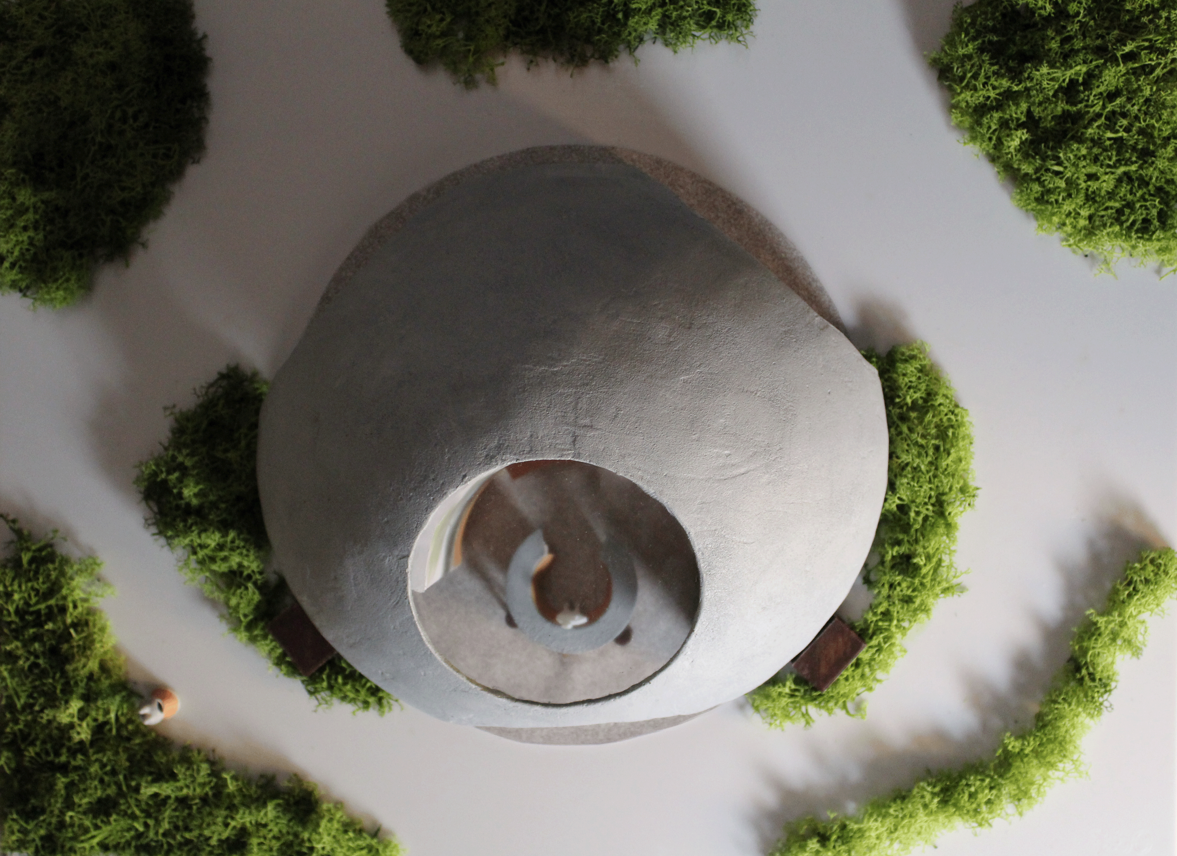 Bunny's Burrow Mockup- Top View