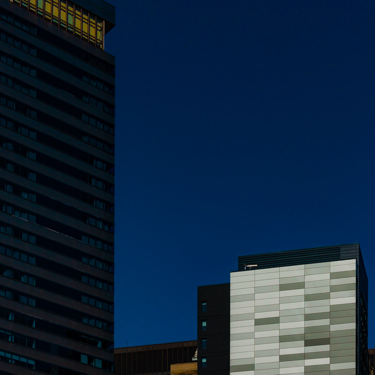 Iconic. the effective use of greyscale aluminum panels cladding the side of the Hilton Garden Inn in downtown Chicago let it stand proud in a crowded cityscape.