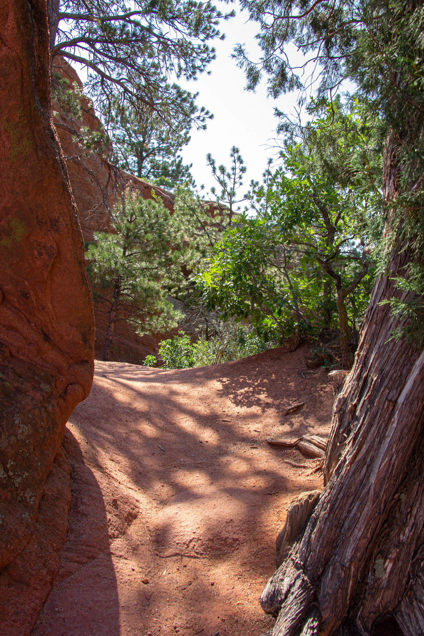 Garden of the Gods