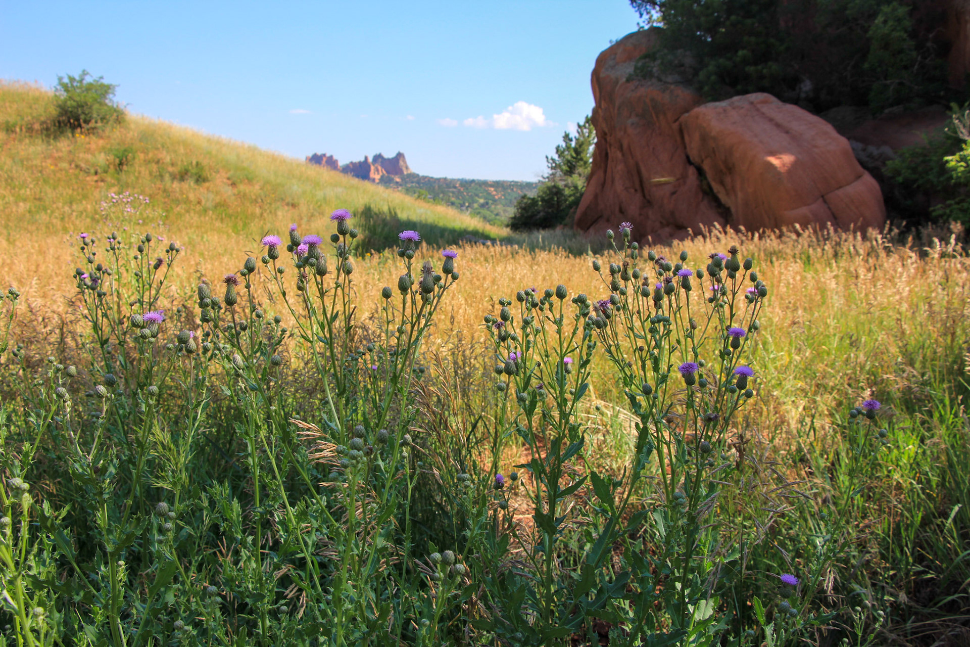 Garden of the Gods