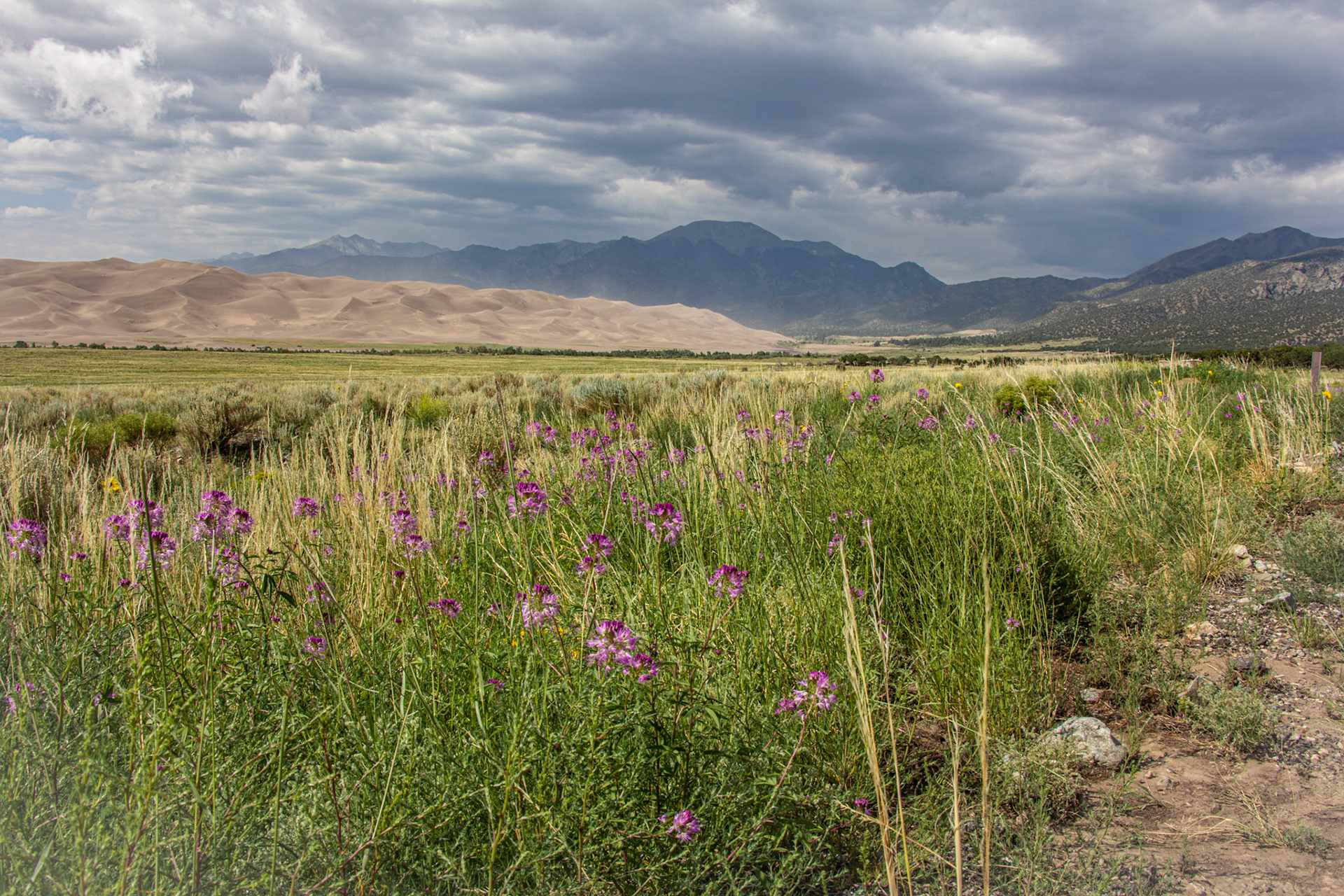 Great Sand Dunes