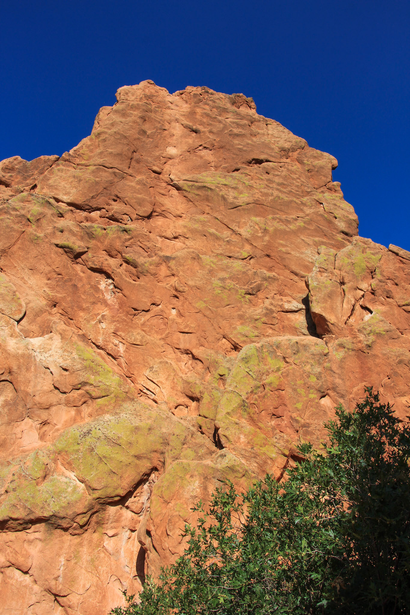 Garden of the Gods