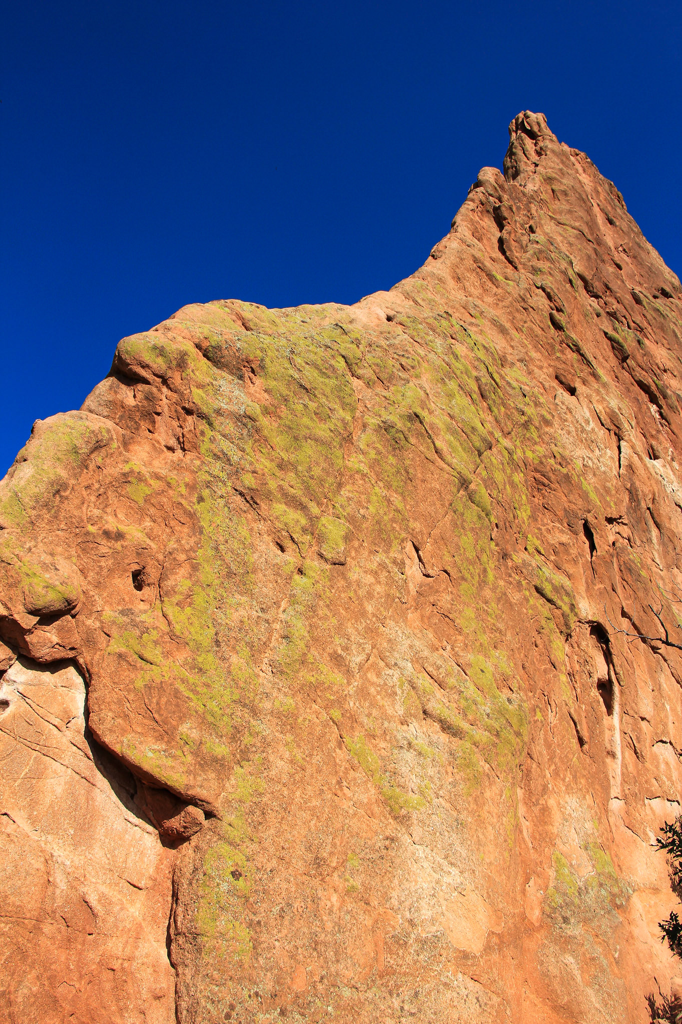 Garden of the Gods