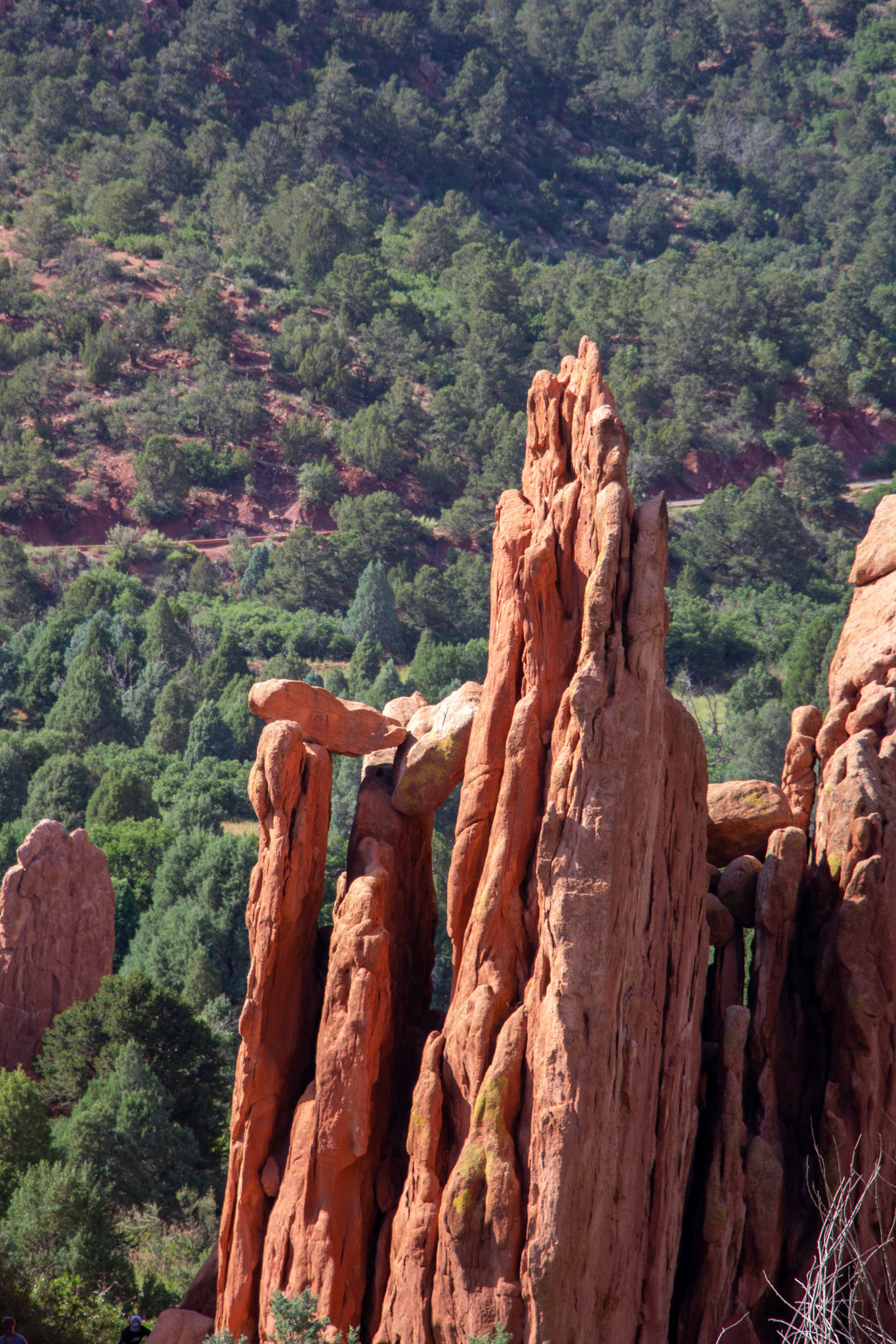 Garden of the Gods