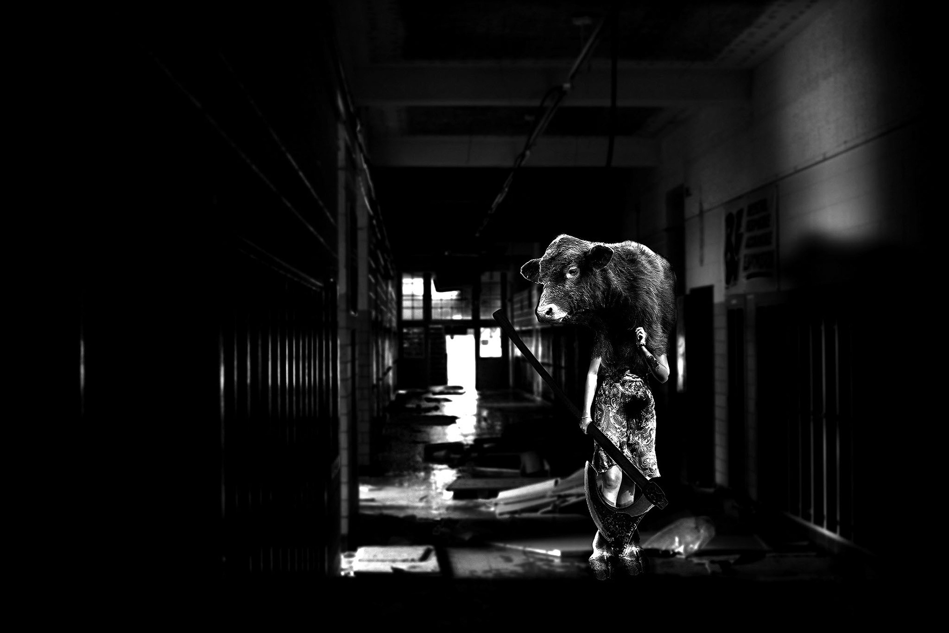 The Magnificent Cowgirl - Digital Photography - Circa 2012