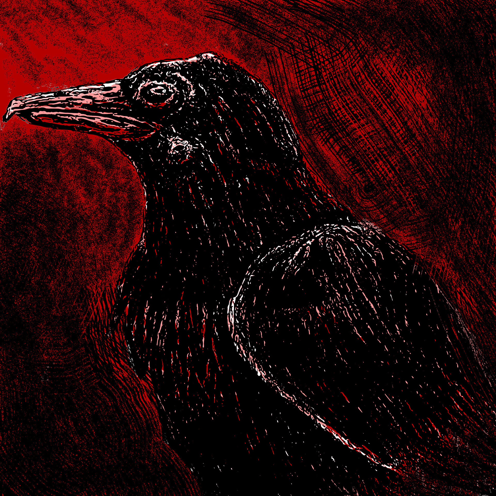 Murderous Crow - Digital Mixed Media - 2022