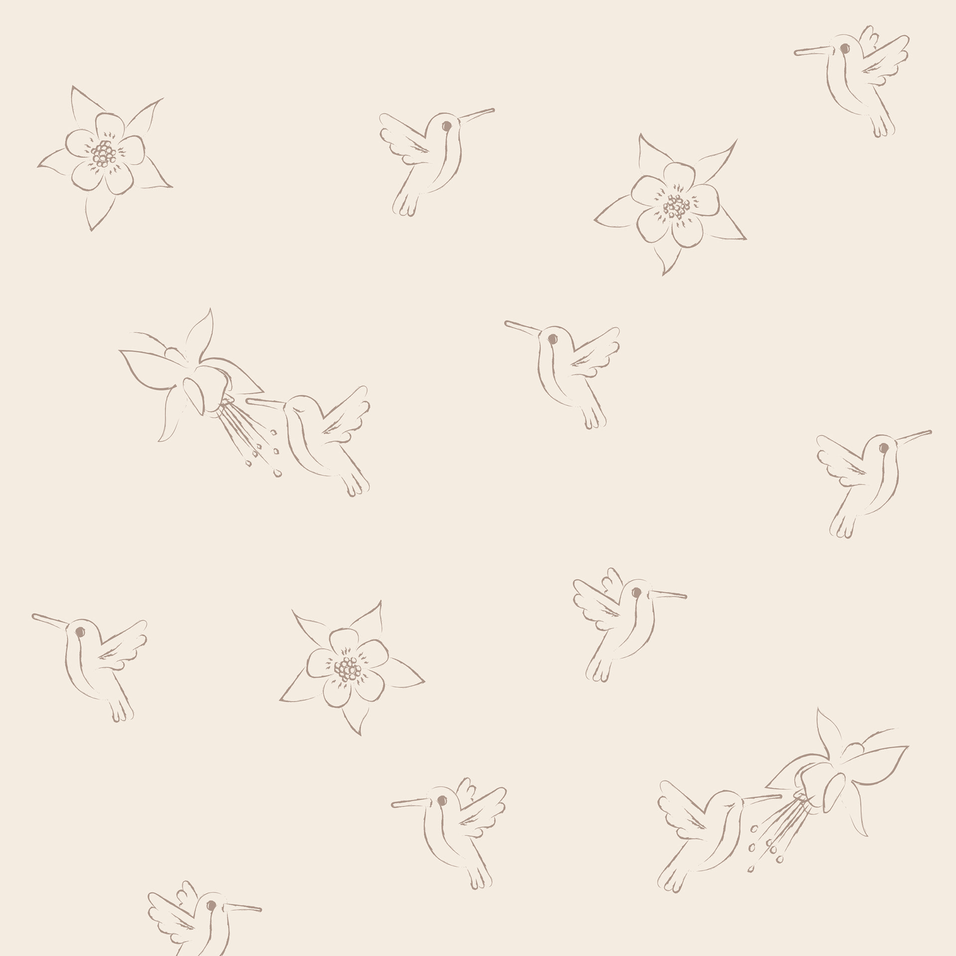 Kolibri pattern – Charcoal pensil in Illustrator