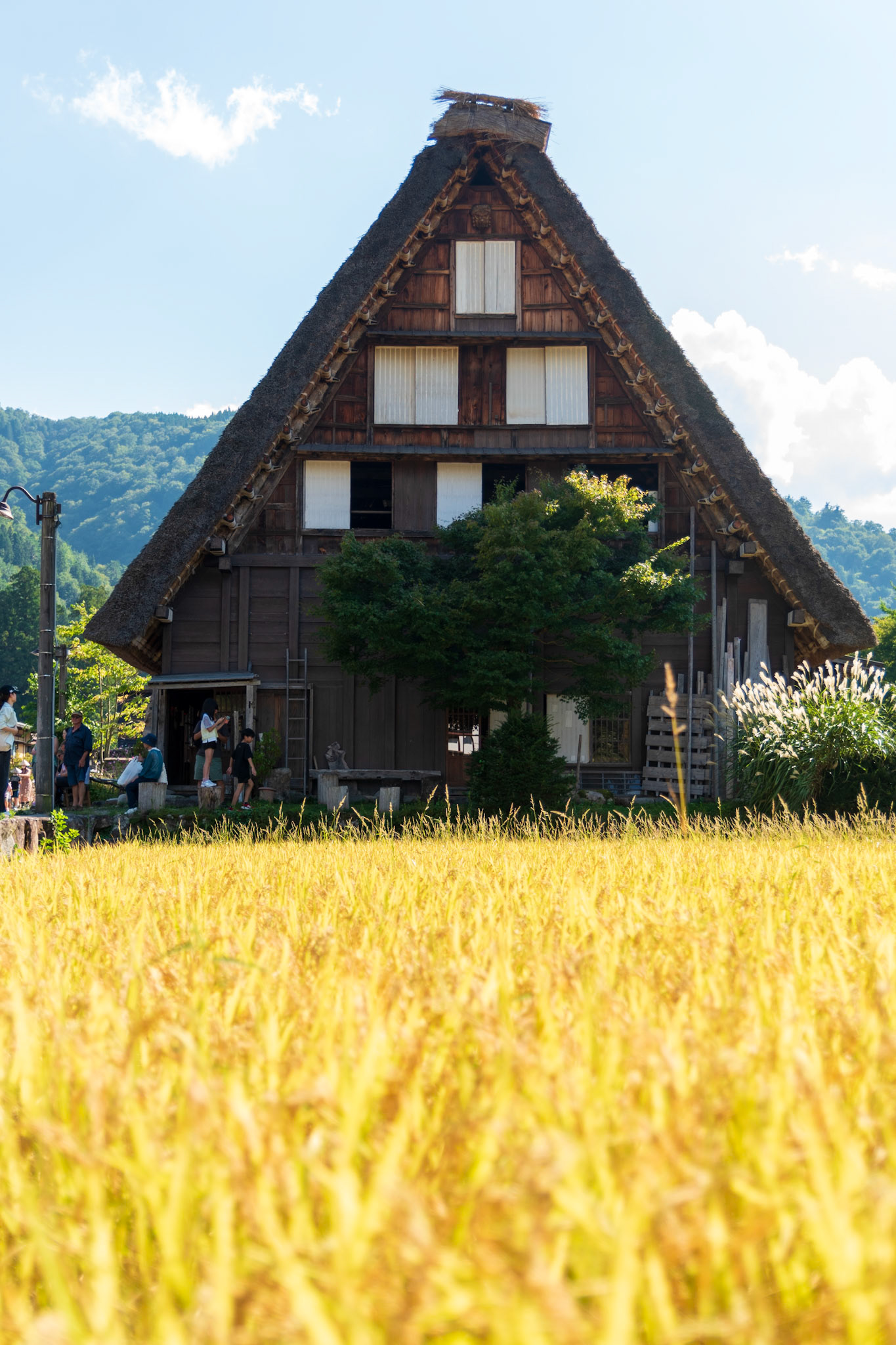 Shirokawago, Gifu, Summer `23