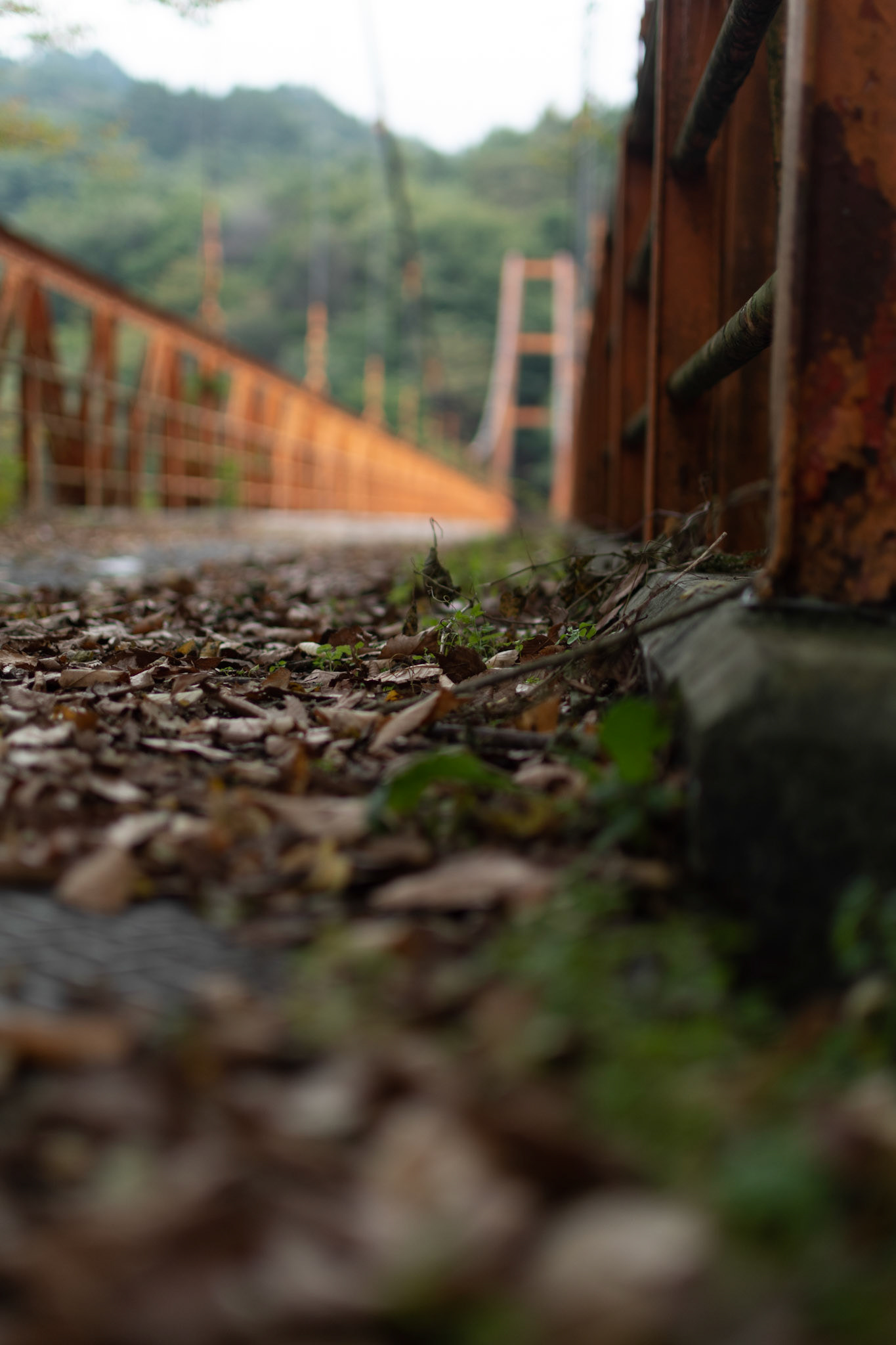 Old bridge, Autumn `21