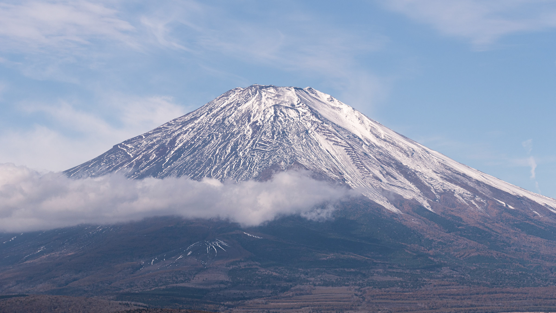 FUJI, Autumn `22