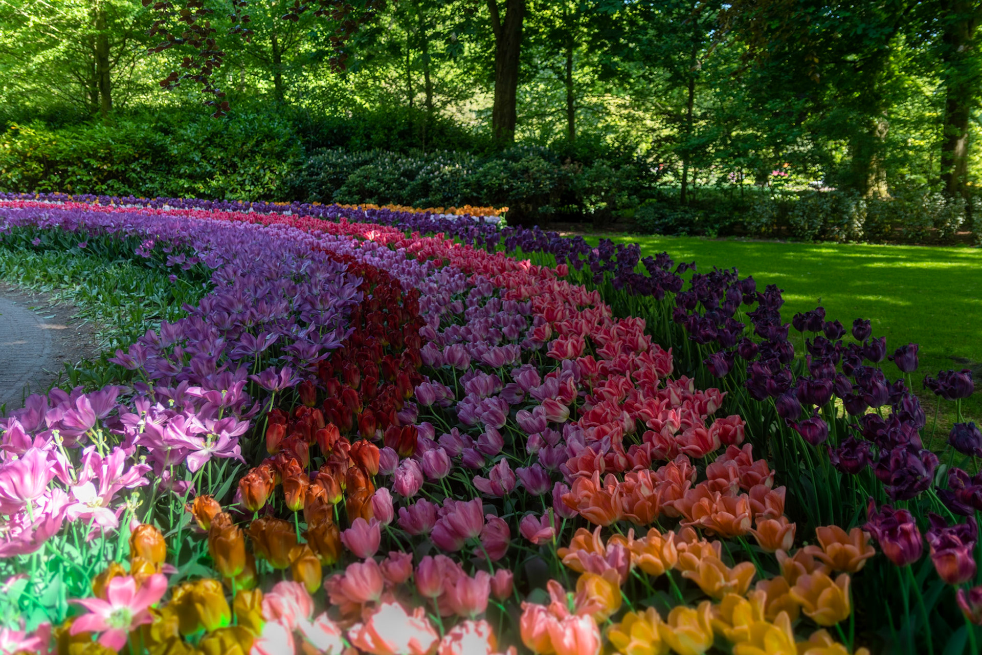 Keukenhof