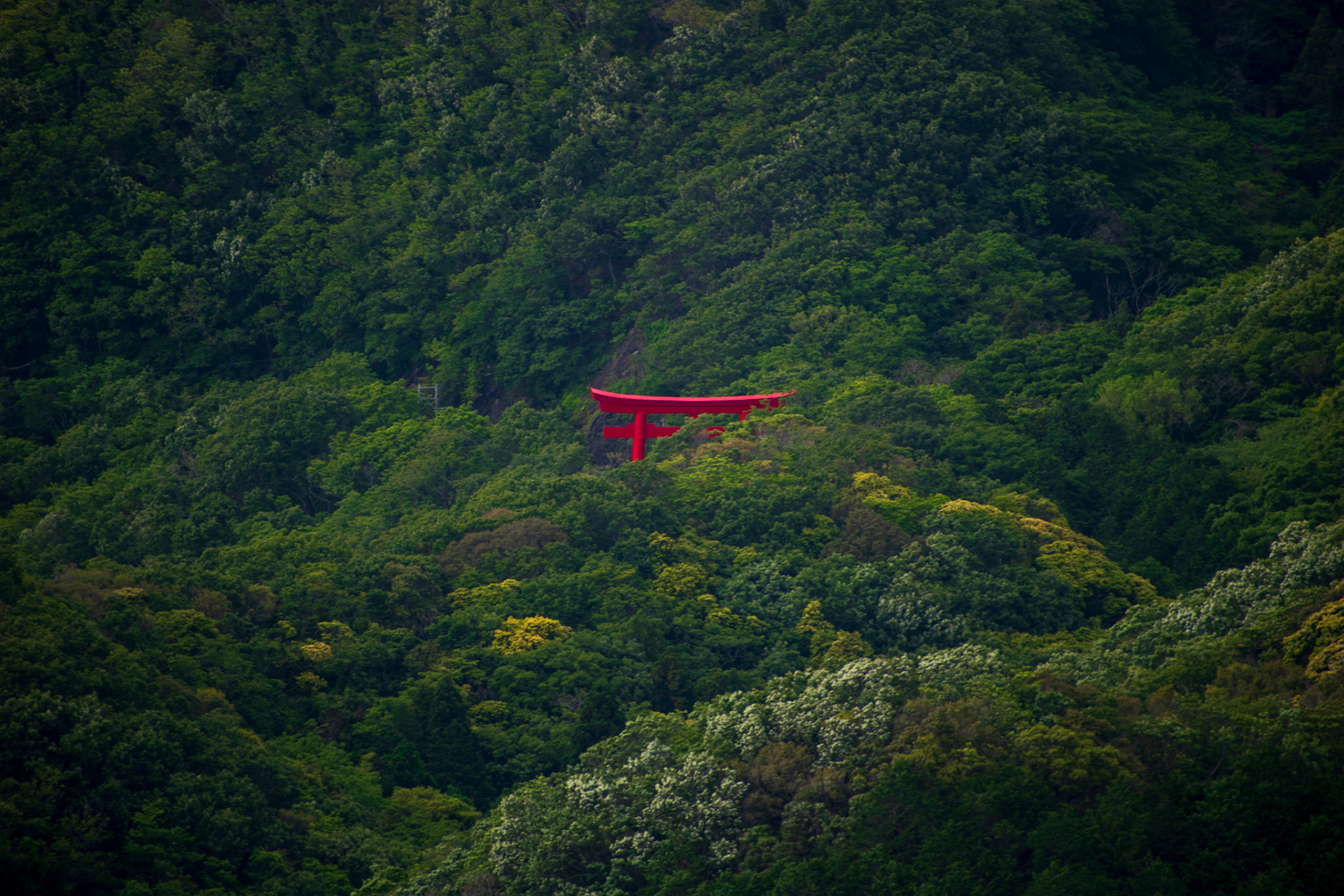 Hidden Torii in Tsushima, Nagasaki