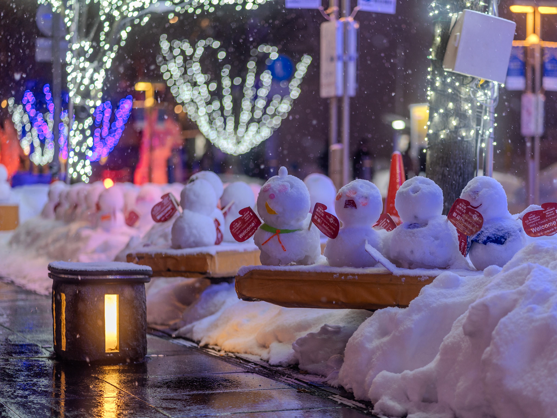 Asahikawa, Hokkaido, Winter `24