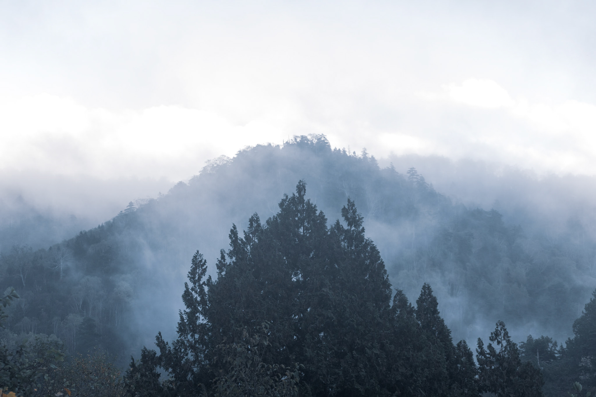 Oze Park, Autumn `21