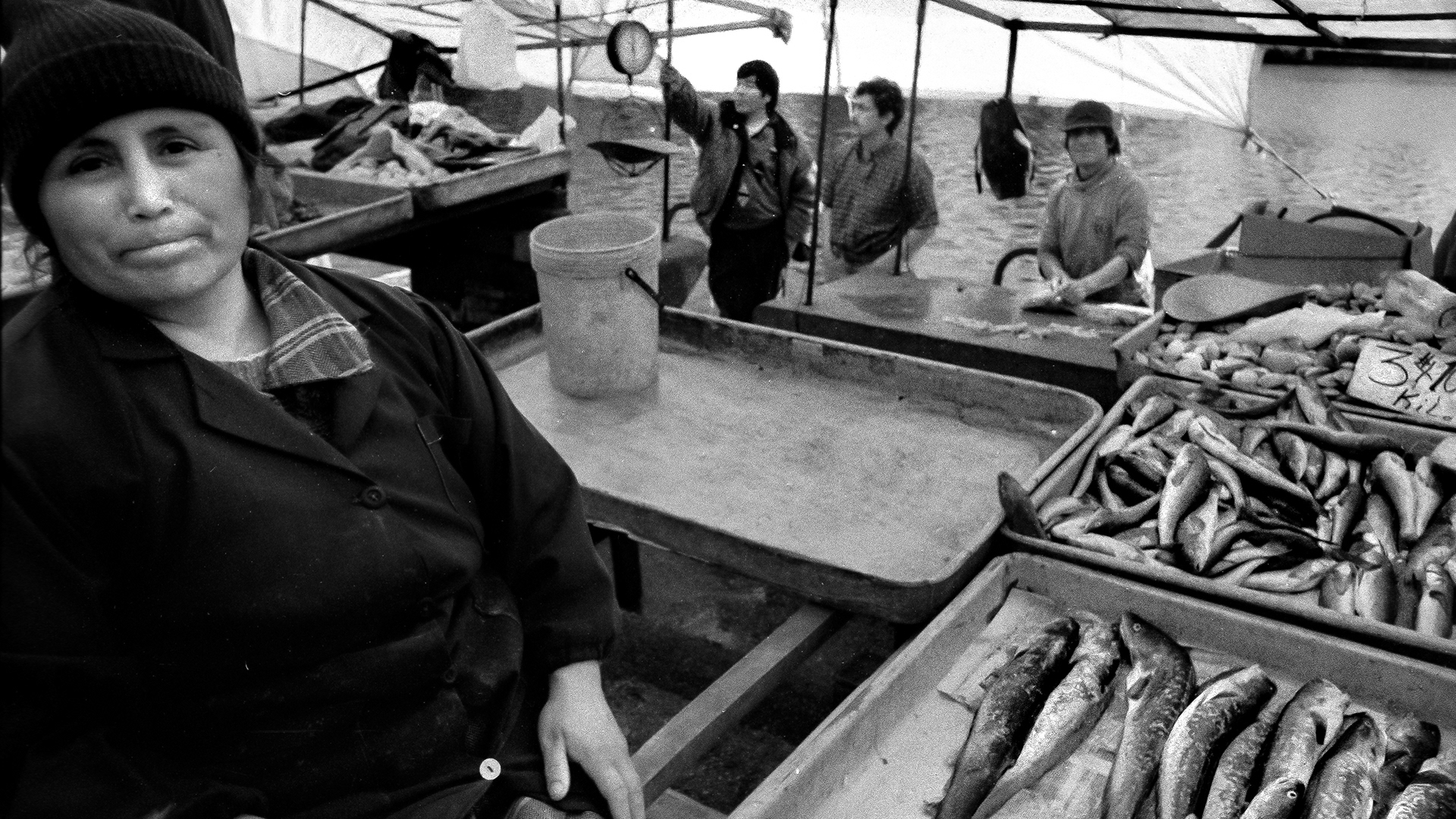 Fish Market in Valdivia, Chile 1998
