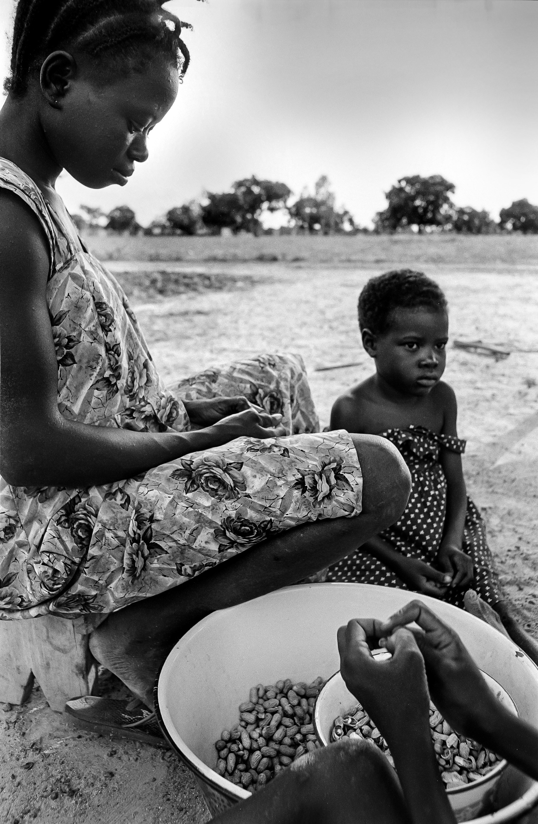 Peanut Harvest, Binde Region, Burkina Faso 1995